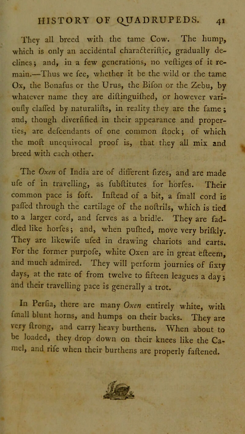They all breed with the tame Cow. The hump, which is only an accidental charafteriftic, gradually de- clines ; and, in a few generations, no veftiges of it re- main.—Thus we fee, whether it be the wild or the tame Ox, the Bonafus or the Urus, the Bifon or the Zebu, by whatever name they are diftinguifhed, or however vari- oufly clalfed by naturalifts, in reality they are the fame ; and, though diverfified in their appearance and proper- ties, are defcendants of one common {lock; of which the molt unequivocal proof is, that they all mix and breed with each other. The Oxen of India are of different fizes, and are made ufe of in travelling, as fubflitutes for horfes. Their common pace is foft. Inftead of a bit, a fmall cord is paffed through the cartilage of the noftrils, which is tied to a larger cord, and ferves as a bridle. They are fad- died like horfes; and, when pufhed, move very brifkly. They are likewife ufed in drawing chariots and carts. For the former purpofe, white Oxen are in great fefteem, and much admired. They will perform journies of fixty days, at the rate of from twelve to fifteen leagues a day; and their travelling pace is generally a trot. In Perfia, there are many Oxen entirely white, with fmall blunt horns, and humps on their backs. They are very flrong, and carry heavy burthens. When about to be loaded, they drop down on their knees like the Ca- mel, and rife when their burthens are properly faftened.