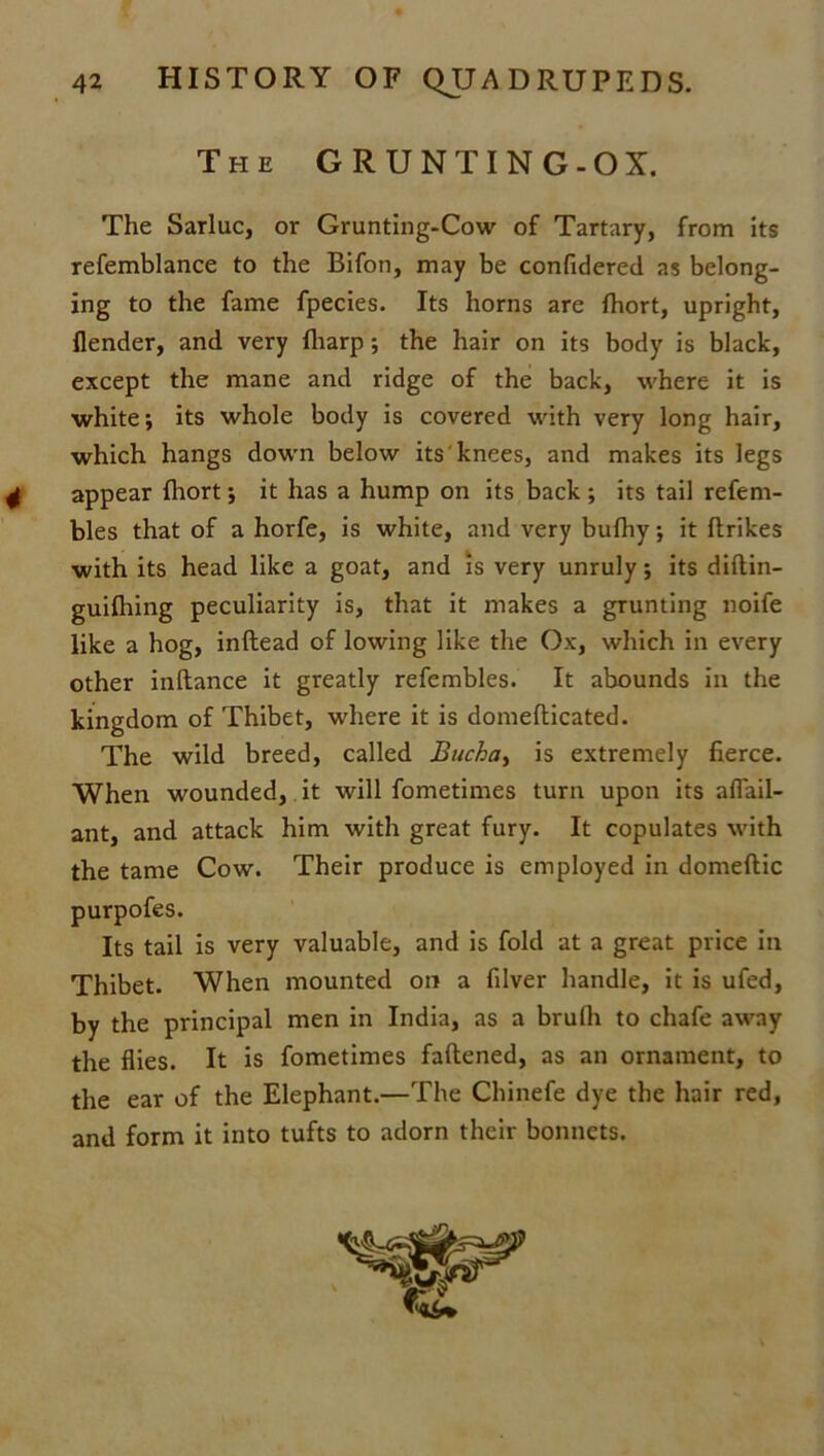 The GRUNTING-OX. The Sarluc, or Grunting-Cow of Tartary, from its refemblance to the Bifon, may be confidered as belong- ing to the fame fpecies. Its horns are Ihort, upright, {lender, and very fliarp; the hair on its body is black, except the mane and ridge of the back, where it is white; its whole body is covered with very long hair, which hangs down below its knees, and makes its legs appear fliort; it has a hump on its back ; its tail refem- bles that of a horfe, is white, and very bufhy; it {trikes with its head like a goat, and is very unruly; its diftin- guifliing peculiarity is, that it makes a grunting noife like a hog, inftead of lowing like the Ox, which in every other inltance it greatly refembles. It abounds in the kingdom of Thibet, where it is domeflicated. The wild breed, called Bucha, is extremely fierce. When wounded, it will fometimes turn upon its aflail- ant, and attack him with great fury. It copulates with the tame Cow. Their produce is employed in domeftic purpofes. Its tail is very valuable, and is fold at a great price in Thibet. When mounted on a filver handle, it is ufed, by the principal men in India, as a brufli to chafe away the flies. It is fometimes faftened, as an ornament, to the ear of the Elephant.—The Chinefe dye the hair red, and form it into tufts to adorn their bonnets.