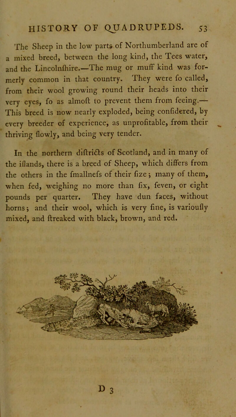 The Sheep in the low parts of Northumberland are of a mixed breed, between the long kind, the Tees water, and the Lincolnlhire.—'The mug or muff kind was for- merly common in that country. They were fo called, from their wool growing round their heads into their very eyes, fo as almoft to prevent them from feeing.— This breed is now nearly exploded, being confidered, by every breeder of experience, as unprofitable, from their ^ thriving flowly, and being very tender. In the northern diftri&s of Scotland, and in many of the iflands, there is a breed of Sheep, which differs from the others in the fmallnefs of their fize ; many of them, when fed, weighing no more than fix, feven, or eight pounds per quarter. They have dun faces, without horns; and their wool, which is very fine, is varioufly mixed, and ftreaked with black, brown, and red. D 3
