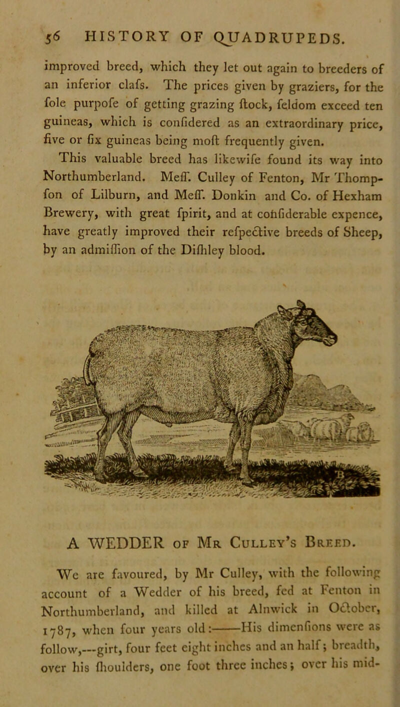 improved breed, which they let out again to breeders of an inferior clafs. The prices given by graziers, for the foie purpofe of getting grazing ftock, feldom exceed ten guineas, which is confidered as an extraordinary price, five or fix guineas being molt frequently given. This valuable breed has likewife found its way into Northumberland. MelT. Culley of Fenton, Mr Thomp- fon of Lilburn, and MefT. Donkin and Co. of Hexham Brewery, with great fpirit, and at cofafiderable expence, have greatly improved their refpective breeds of Sheep, by an admiffion of the Dilhley blood. A WEDDER of Mr Culley’s Breed. We are favoured, by Mr Culley, with the following account of a Wedder of his breed, fed at Fenton in Northumberland, and killed at Alnwick in Odober, 1787, when four years old: His dimenfions were as follow, girt, four feet eight inches and an half; breadth, over his fhoulders, one foot three inches; over his mid-