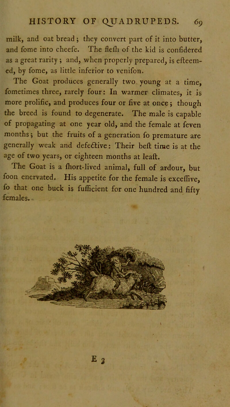 milk, and oat bread ; they convert part of it into butter, and fome into cheefe. The flefli of the kid is confidered as a great rarity ; and, when properly prepared, is efteem- ed, by fome, as little inferior to veriifon. The Goat produces generally two young at a time, fometimes three, rarely four: In warmer climates, it is more prolific, and produces four or five at once; though the breed is found to degenerate. The male is capable of propagating at one year old, and the female at feven months; but the fruits of a generation fo premature are generally weak and defe&ive: Their belt time is at the age of two years, or eighteen months at leaft. The Goat is a fhort-lived animal, full of ardour, but foon enervated. His appetite for the female is exceffive, fo that one buck is fufficient for one hundred and fifty females.