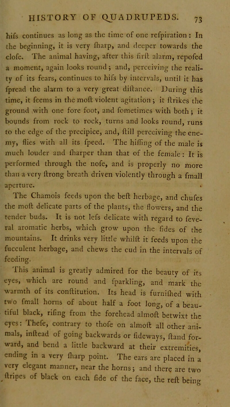 hifs continues as long as the time of one refpivation : In the beginning, it is very fliarp, and deeper towards the clofe. The animal having, after this fird alarm, repofed a moment, again looks round; and, perceiving the reali- ty of its fears, continues to hifs by intervals, until it has fpread the alarm to a very great didance. During this time, it feems in the mod violent agitation ; it drikcs the ground with one fore foot, and fometimes with both; it bounds from rock to rock, turns and looks round, runs to the edge of the precipice, and, dill perceiving the ene- my, flies with all its fpeed. The hilling of the male is much louder and (harper than that of the female : It is performed through the nofe, and is properly no more than a very drong breath driven violently through a fmall aperture. The Chamois feeds upon the bed herbage, and chufes the mod delicate parts of the plants, the flowers, and the tender buds. It is not lefs delicate with regard to feve- ral aromatic herbs, which grow upon the fides of the mountains. It drinks very little whild it feeds upon the fucculent herbage, and chews the cud in the intervals of feeding. This animal is greatly admired for the beauty of its eyes, which are round and fparkling, and mark the warmth of its conditution. Its head is furnifhed with two fmall horns of about half a foot long, of a beau- tiful black, rifing from the forehead almod betwixt the eyes: Thefe, contrary to thofe on almod all other ani- mals, mdead of going backwards or fideways, dand for- ward, and bend a little backward at their extremities, ending in a very fliarp point. The ears are placed in I very elegant manner, near the horns; and there are two . ^r‘Pes °f black on each fide of the face, the red being