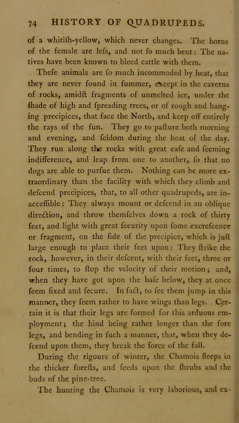 of a whitifh-yellow, which never changes. The horns of the female are lefs, and not fo much bent: The na- tives have been known to bleed cattle with them. Thefe animals are fo much incommoded by heat, that they are never found in fummer, except in the caverns of rocks, amidft fragments of unmelted ice, under the fhade of high and fpreading trees, or of rough and hang- ing precipices, that face the North, and keep off entirely the rays of the fun. They go to pallure both morning and evening, and feldom during the heat of the day. They run along the rocks with great eafe and feeming indifference, and leap from one to another, fo that no dogs are able to purfue them. Nothing can be more ex- traordinary than the facility with which they climb and defcend precipices, that, to all other quadrupeds, are in- accefhble: They always mount or defcend in an oblique dire£tion, and throw themfelves down a rock of thirty feet, and light with great fecurity upon fome excrefcence or fragment, on the fide of the precipice, which is juft large enough to place their feet upon: They ftrike the rock, however, in their defcent, with their feet, three or four times, to flop the velocity of their motion; and, when they have got upon the bafe below, they at once feem fixed and fecure. In fa£t, to fee them jump in this manner, they feem rather to have wings than legs. Cer- tain it is that their legs are formed for this arduous em- ployment ; the hind being rather longer than the fore legs, and bending in fuch a manner, that, when they de- fcend upon them, they break the force of the fall. During the rigours of winter, the Chamois deeps in the thicker forefts, and feeds upon the fhrubs and the buds of the pine-tree. The hunting the Chamois is very laborious, and ex-