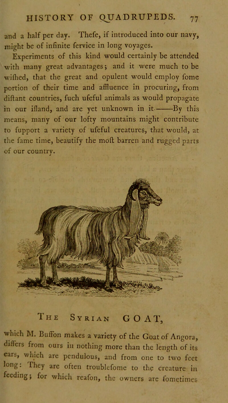 and a half per day. Thefe, if introduced into our navy, might be of infinite fervice in long voyages. Experiments of this kind would certainly be attended with many great advantages; and it were much to be wifiied, that the great and opulent would employ fome portion of their time and affluence in procuring, from diftant countries, fuch ufeful animals as would propagate in our ifland, and are yet unknown in it By this means, many of our lofty mountains might contribute to fupport a variety of ufeful creatures, that would, at the fame time, beautify the moll barren and rugged parts of our country. The Syrian GOAT, which M. BufFon makes a variety of the Goat of Angora, differs from ours in nothing more than the length of its ears, which are pendulous, and from one to two feet long. They are often troublcfome to the creature in feeding; for which reafon, the owners are fometimes