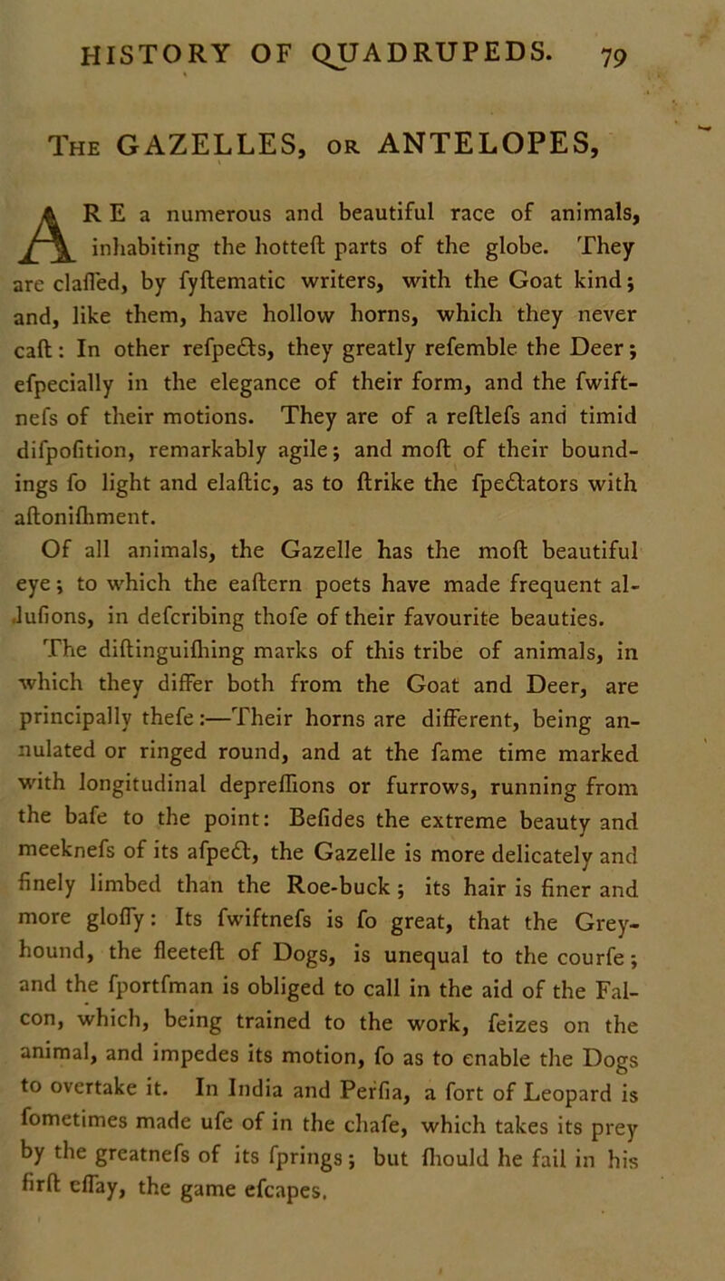 The GAZELLES, or ANTELOPES, AR E a numerous and beautiful race of animals, inhabiting the hotteft parts of the globe. They are claffed, by fyftematic writers, with the Goat kind; and, like them, have hollow horns, which they never call: In other refpe&s, they greatly refemble the Deer; efpecially in the elegance of their form, and the fwift- nefs of their motions. They are of a reftlefs and timid difpofition, remarkably agile; and moll of their bound- ings fo light and elaftic, as to ftrike the fpedlators with aftonifhment. Of all animals, the Gazelle has the moll beautiful eye; to which the eaftern poets have made frequent al- dufions, in defcribing thofe of their favourite beauties. The diftinguifhing marks of this tribe of animals, in which they differ both from the Goat and Deer, are principally thefe:—Their horns are different, being an- nulated or ringed round, and at the fame time marked with longitudinal deprefTions or furrows, running from the bafe to the point: Befides the extreme beauty and meeknefs of its afpedl, the Gazelle is more delicately and finely limbed than the Roe-buck ; its hair is finer and more gloffy: Its fwiftnefs is fo great, that the Grey- hound, the fleeted: of Dogs, is unequal to the courfe; and the fportfman is obliged to call in the aid of the Fal- con, which, being trained to the work, feizes on the animal, and impedes its motion, fo as to enable the Dogs to overtake it. In India and Perfia, a fort of Leopard is fometimes made ufe of in the chafe, which takes its prey by the greatnefs of its fprings; but fliould he fail in his firft effay, the game efcapes.