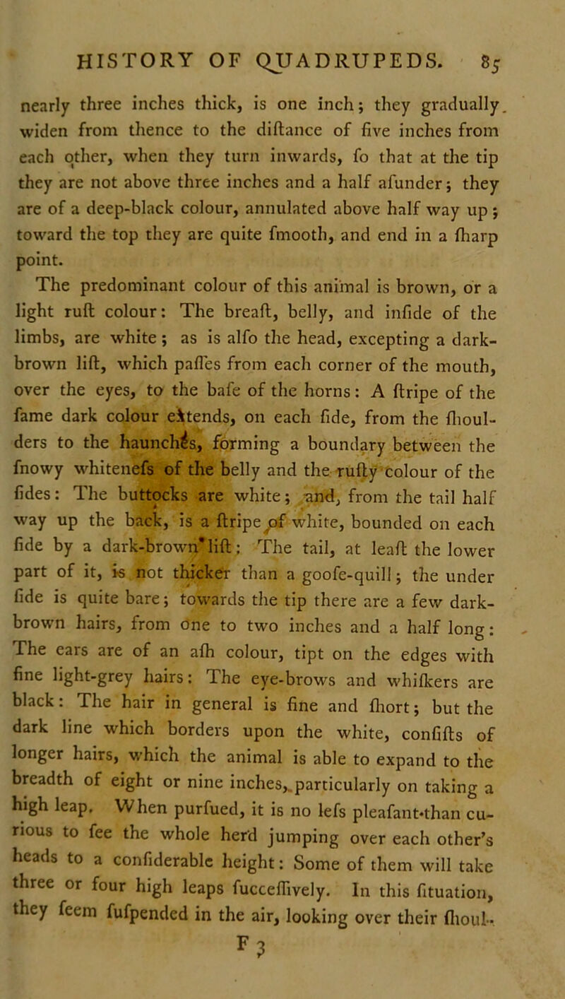 nearly three inches thick, is one inch; they gradually widen from thence to the diftance of five inches from each other, when they turn inwards, fo that at the tip they are not above three inches and a half afunder; they are of a deep-black colour, annulated above half way up; toward the top they are quite fmooth, and end in a fharp point. The predominant colour of this animal is brown, or a light ruft colour: The bread, belly, and infide of the limbs, are white ; as is alfo the head, excepting a dark- brown lift, which pafles from each corner of the mouth, over the eyes, to the bafe of the horns: A ftripe of the fame dark colour extends, on each fide, from the flioul- ders to the haunches, forming a boundary between the fnowy whitenefs of the belly and the rufty colour of the fides: The buttocks are white; -and, from the tail half way up the back, is a ftripeyof white, bounded on each fide by a dark-brown* lift; The tail, at leaft the lower part of it, is not thicker than a goofe-quill; the under fide is quite bare; towards the tip there are a few dark- brown hairs, from one to two inches and a half long: The ears are of an afh colour, tipt on the edges with fine light-grey hairs: The eye-brows and whifkers are black: The hair in general is fine and fhort; but the dark line which borders upon the white, confifts of longer hairs, which the animal is able to expand to the breadth of eight or nine inches,..particularly on taking a high leap. When purfued, it is no lefs pleafant-than cu- rious to fee the whole herd jumping over each other’s heads to a confiderable height: Some of them will take three or four high leaps fuccefiively. In this fituation, they feem fufpended in the air, looking over their fliout-