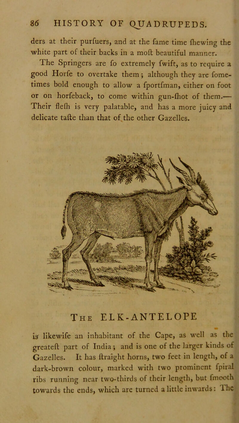 ders at their purfuers, and at the fame time fhewing the white part of their backs in a mod beautiful manner. The Springers are fo extremely fwift, as to require a good Horfe to overtake them; although they are fome- times bold enough to allow a fportfman, either on foot or on horfeback, to come within gun-fhot of them.— Their flefli is very palatable, and has a more juicy and delicate tafte than that of the other Gazelles. The ELK-ANTELOPE is likewife an inhabitant of the Cape, as well as the greateft part of India ; and is one of the larger kinds of Gazelles. It has ftraight horns, two feet in length, of a dark-brown colour, marked with two prominent fpiral ribs running near two-thirds of their length, but fmooth towards the ends, which are turned a little inwards: 1 he