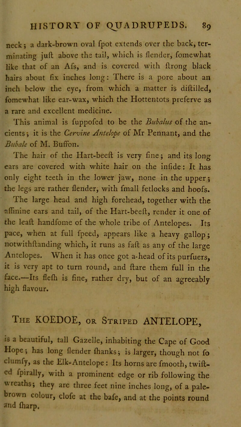 neck; a dark-brown oval fpot extends over the back, ter- minating juft above the tail, which is /lender, fomewhat like that of an Afs, and is covered with ftrong black, hairs about fix inches long: There is a pore about an inch below the eye, from which a matter is diftilled, fomewhat like ear-wax, which the Hottentots preferve as a rare and excellent medicine. This animal is fuppofed to be the Bubalus of the an- cients; it is the Cervine Antelope of Mr Pennant, and the Bubale of M. BufFon. The hair of the Hart-beeft is very line; and its long ears are covered with white hair on the infide: It has only eight teeth in the lower jaw, none in the upper; the legs are rather {lender, with fmall fetlocks and hoofs. The large head and high forehead, together with the n Amine ears and tail, of the Hart-beeft, render it one of the leaft handfome of the whole tribe of Antelopes. Its pace, when at full fpeed, appears like a heavy gallop; notwithftanding which, it runs as fall as any of the large Antelopes. When it has once got a-head of its purfuers, it is very apt to turn round, and ftare them full in the face.—Its flelh is fine, rather dry, but of an agreeably high flavour. The KOEDOE, or Striped ANTELOPE, is a beautiful, tall Gazelle, inhabiting the Cape of Good Hope; has long {lender lhanks; is larger, though not fo clumfy, as the Elk-Antelope : Its horns are fmooth, twill- ed fpirally, with a prominent edge or rib following the wreaths; they are three feet nine inches long, of a pale- brown colour, clofe at the bafe, and at the points round and {harp.