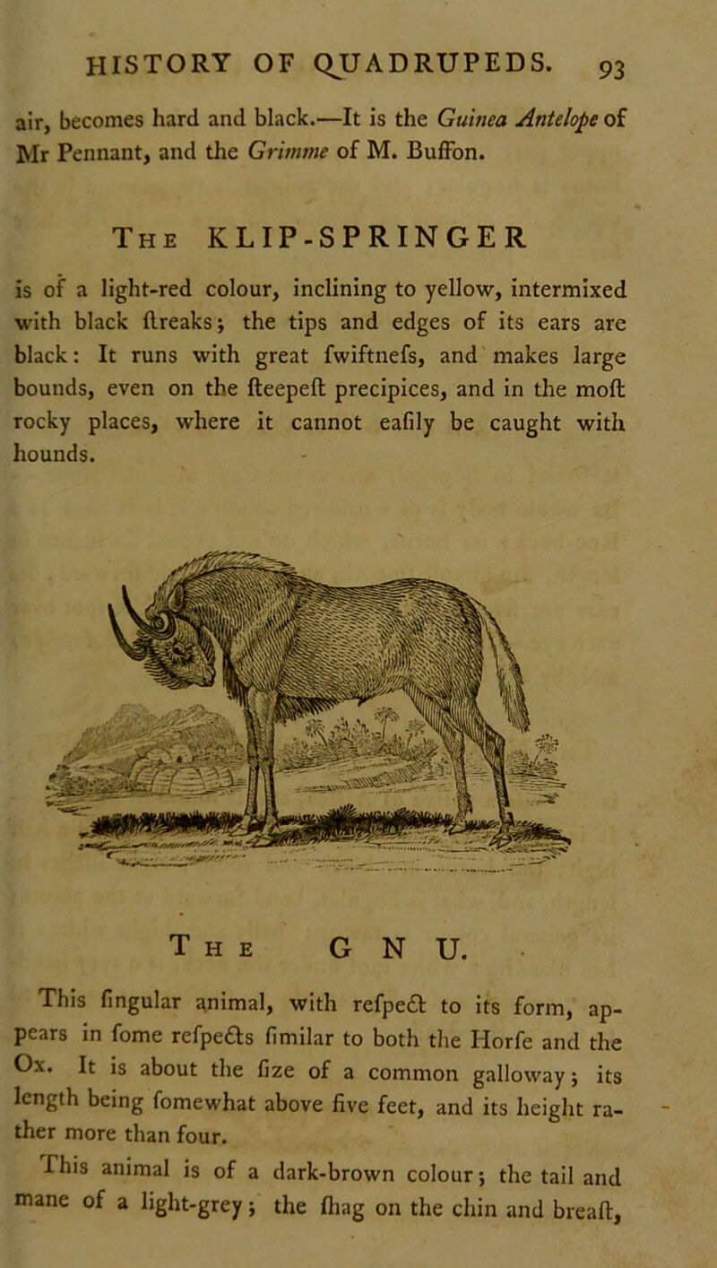 air, becomes hard and black.—It is the Guinea Antelope of Mr Pennant, and the Grimme of M. Buffon. The KLIP-SPRINGER is of a light-red colour, inclining to yellow, intermixed with black Breaks; the tips and edges of its ears are black: It runs with great fwiftnefs, and makes large bounds, even on the BeepeB precipices, and in the molt rocky places, where it cannot eafdy be caught with hounds. The GNU. This lingular animal, with refpeft to its form, ap- pears in fome refpeas fimilar to both the Horfe and the Ox. It is about the fize of a common galloway; its length being fomewhat above five feet, and its height ra- ther more than four. This animal is of a dark-brown colour •, the tail and mane of a light-grey; the fliag on the chin and breaft,