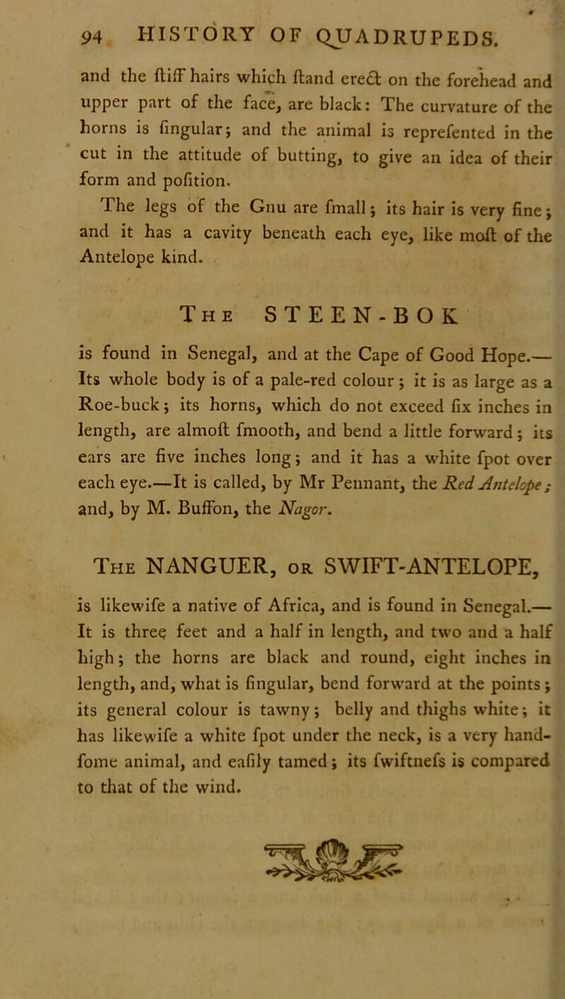 and the {tiff hairs which {land ere£t on the forehead and upper part of the face, are black: The curvature of the horns is fingular; and the animal is reprefented in the cut in the attitude of butting, to give an idea of their form and pofition. The legs of the Gnu are fmall; its hair is very fine; and it has a cavity beneath each eye, like moll of the Antelope kind. The STEEN-BOK is found in Senegal, and at the Cape of Good Hope.— Its whole body is of a pale-red colour; it is as large as a Roe-buck; its horns, which do not exceed fix inches in length, are almoll fmooth, and bend a little forward; its ears are five inches long; and it has a white fpot over each eye.—It is called, by Mr Pennant, the Red Antelope ; and, by M. BufFon, the Nagor. The NANGUER, or SWIFT-ANTELOPE, is likewife a native of Africa, and is found in Senegal.— It is three feet and a half in length, and two and a half high; the horns are black and round, eight inches in length, and, what is fingular, bend forward at the points ; its general colour is tawny; belly and thighs white; it has likewife a white fpot under the neck, is a very hand- fome animal, and eafily tamed; its fwiftnefs is compared to that of the wind.