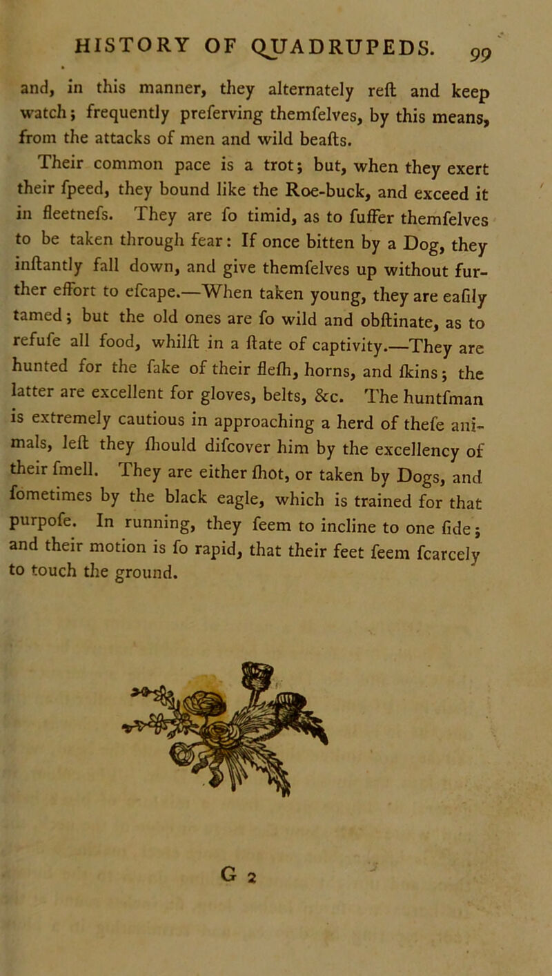 and, in this manner, they alternately reft and keep watch; frequently preferving themfelves, by this means, from the attacks of men and wild beafts. Their common pace is a trot; but, when they exert their fpeed, they bound like the Roe-buck, and exceed it in fleetnefs. They are fo timid, as to fuffer themfelves to be taken through fear: If once bitten by a Dog, they inftantly fall down, and give themfelves up without fur- ther effort to efcape.—When taken young, they are eafdy tamed; but the old ones are fo wild and obftinate, as to refufe all food, whilft in a ftate of captivity.—They are hunted for the fake of their flelh, horns, and Ikins; the latter aie excellent for gloves, belts, &c. The huntfman is extremely cautious in approaching a herd of thefe ani- mals, left they Ihould difcover him by the excellency of their fmell. They are either (hot, or taken by Dogs, and fometimes by the black eagle, which is trained for that purpofe. In running, they feem to incline to one fide; and their motion is fo rapid, that their feet feem fcarcely to touch the ground.
