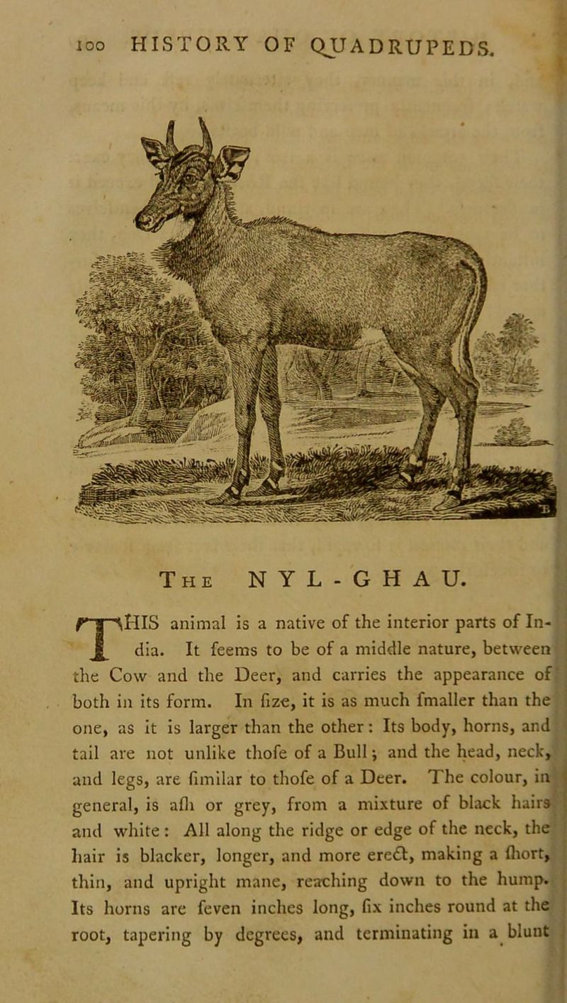 The NYL-GHAU. THIS animal is a native of the interior parts of In- dia. It feems to be of a middle nature, between the Cow and the Deer, and carries the appearance of both in its form. In fize, it is as much fmaller than the one, as it is larger than the other: Its body, horns, and tail are not unlike thofe of a Bull; and the head, neck, and legs, are fimilar to thofe of a Deer. The colour, in general, is afh or grey, from a mixture of black hairs and white : All along the ridge or edge of the neck, the hair is blacker, longer, and more ere&, making a fliort, thin, and upright mane, reaching down to the hump. Its horns are feven inches long, fix inches round at the root, tapering by degrees, and terminating in a blunt