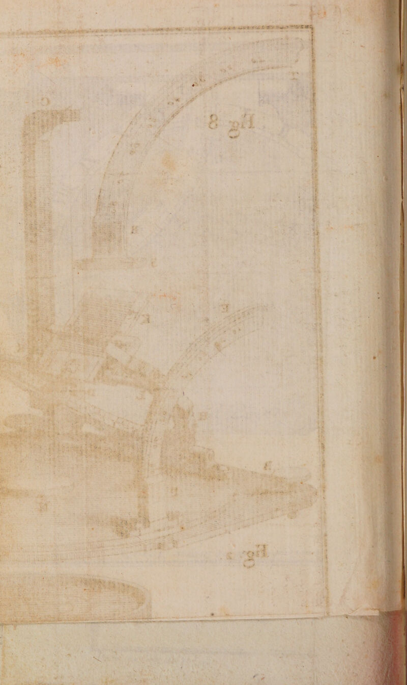 DL UE CPAS EU eco tree SE