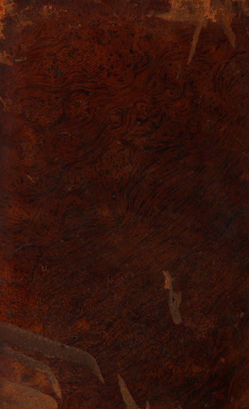 No text description is available for this image