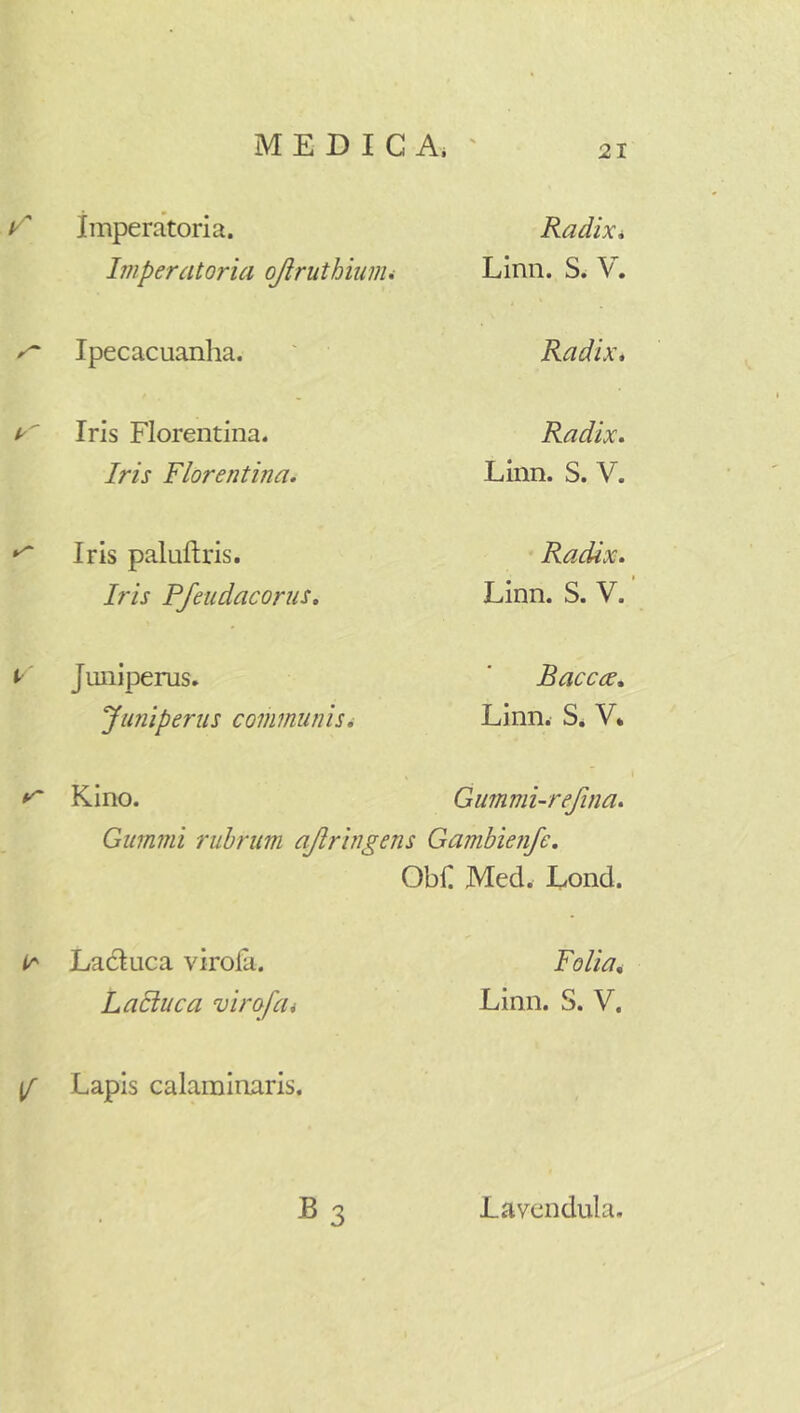 MEDICA. ' imperatoria. Radix i Imperatoria ojiruthiunu Linn. S. V. Ipecacuanha. Radix, Iris Florentina. Radix. Iris Florentina. Linn. S. V. Iris paluftris. Radix. Iris Pfeudacorus, Linn. S. V. Juniperus. Baccce. Juniperus communisi Linn. S. V. Kino. Gummi-refina. Gumini rubrum ajlringens Gambienfe. Obii Med. Lond. iT' Lacluca virolk. Folia, LaEtuca virofai Linn. S. V. [f Lapis calaminaris. B3 Lavcndula.