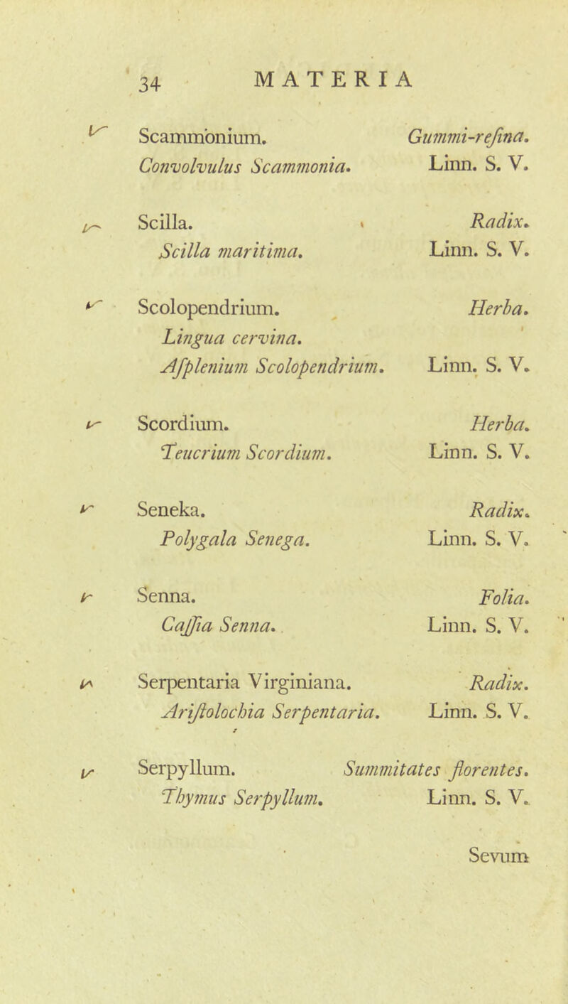 Convolvulus Scammonia, Linn. S. V. Scilla. » Scilla maritima. Radix, Linn. S. V. Scolopendrium. Lingua cervina. Herha, I Afple7iium Scolopendrium, Linn. S. V. f Scordium. ‘Teucrium Scordium, He?‘ba, Linn. S. V. Seneka. Polygala Senega. Radix, Linn. S. V. Senna. Caflia Senna, Folia, Linn. S. V. Serpentaria Virginiaiia. Arijiolochia Serpentaria, • * Radix, Linn. S. V. Serpyllum. Summitates florentes, T^hymus Se?-pyllum, Linn. S. V. Sevum