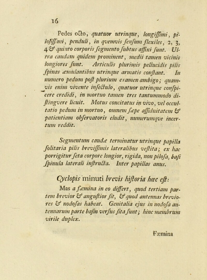 Pedes oO:o, qiiatuor utrinque ^ longiffmii ^ pi- Jojiffvii, penduli^ in qvemvis fenfum flexiles, 2, 3, 4 ^ quinto corporis fegmento fiibtus affxi funt. Ul- tra caiLdavi quidem promment, medii tamen vicinis longiores funt. Articulis pluriuiis pellucidis pilis fpinas amiilantibus utrinque armatis conflant. In numero pedu?n poft plurium exameii a?nbigo; quatn- ^is enisu vivente infeBulo, quatuor utrmque cosifpi- cere credidi, in suor tuo tamen tres tantummodo di- ftingvere licuit. Motus concitatus in vivo, vel occul- tatio pedum in suor tuo, omnesn flepe ajfduitatem patientiam obfervatoris eludit, numerumqve incer- tum reddit. Segmentufn caudae terminatur utrinque papilla folitaria pilis brevifpmis lateralibus veftita; ex hac porrigitur feta corpore longior, rigida, sion pilofa, bafi Jpinula laterali inftruBa. Inter papillas anus. Cyclopis 'minuti brevis hiftoria hwc efl: Mas a fasnina in eo dijfert, quod tertiam par- tem brevior ^ angiflior fit, Uf quod antennas brevio- res ^ nodofas habeat. Genitalia ejus in siodofa an- tennarum parte bafin verfus fit afunt; hinc ssiembrum virile duplex. F asmlna