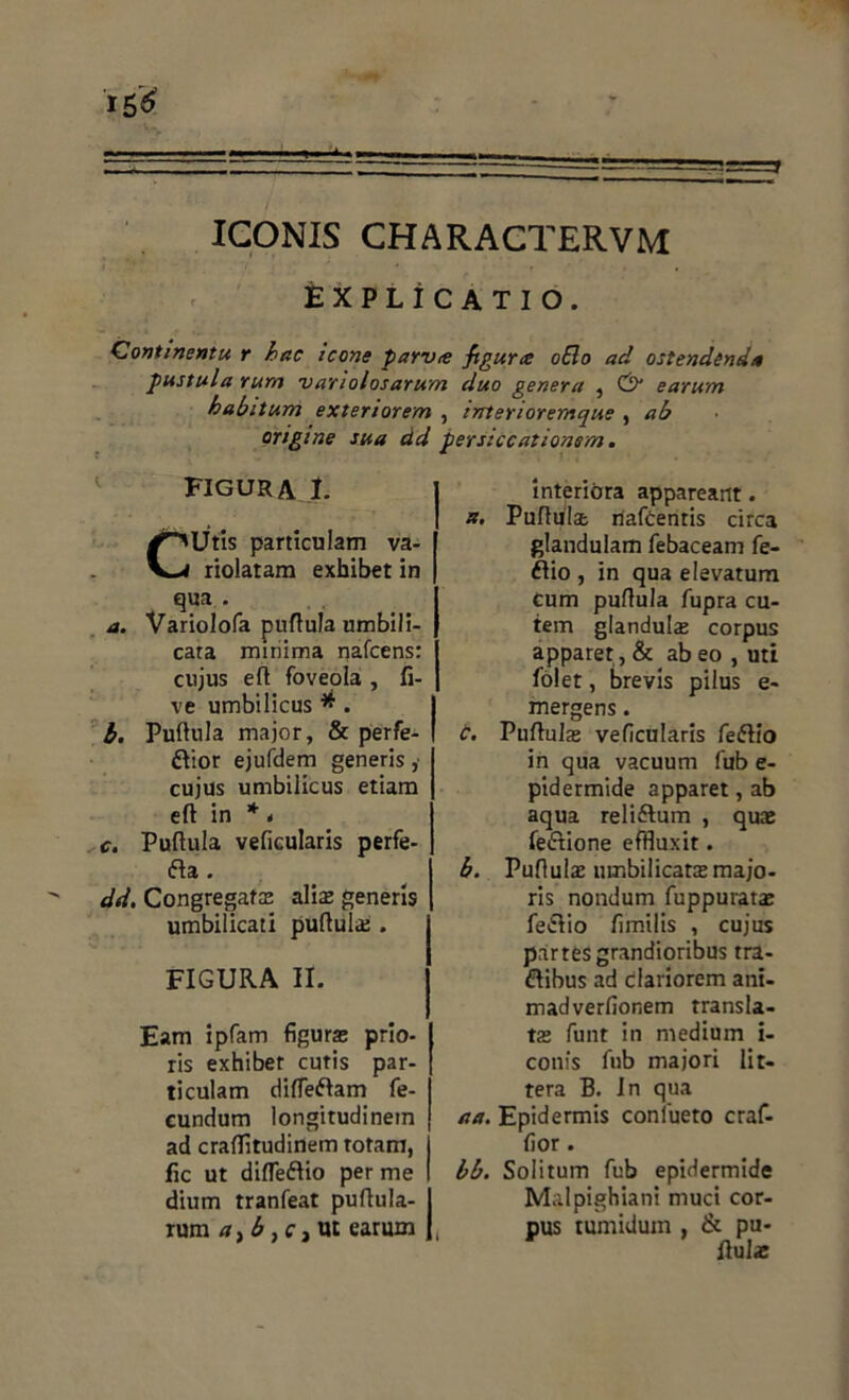 ICONIS CHARACTERVM explicatio. Contmentu r hac icone parva figura oEio ad ostendenda pustula rum vanolosarum duo genera , & earum habitum exteriorem , intenoremque , ab origine sua dd persiccationem. figura I. CUtis particulam va- riolatam exhibet in qua . a. Variolofa puflula umbili- cata minima nafcens: cujus efl foveola, li- ve umbilicus * . b. Puflula major, & perfe- rior ejufdem generis ,■ cujus umbilicus etiam efl in * i c. Puflula veficularis perfe- ra . dd. Congregat® ali® generis umbilicati puftula: . FIGURA II. Eam ipfam figur® prio- ris exhiber cutis par- ticulam differam fe- cundum longitudinem ad craflitudinem rotam, fic ut differio per me dium tranfeat pullula- rum a, b, c, ut earum interiora appareant. a, Puflula: riafcentis circa glandulam febaceam fe- rio , in qua elevatum Cum puflula fupra cu- tem glandul® corpus apparet , & ab eo , uti folet, brevis pilus e- mergens. b. Puflula: veficularis feftio in qua vacuum fub e- pidermide apparet, ab aqua relirum , qu® ferione effluxit. b. Puftul® umbilicar® majo- ris nondum fuppurat® ferio fimilis , cujus partes grandioribus tra- ftibus ad clariorem ani- madverfioRem transla- ta funt in medium i- conis fub majori lit- tera B. In qua aa. Epidermis confueto craf- fior. bb. Solitum fub epidermide Malpighiani muci cor- pus tumidum , & pu- llula: