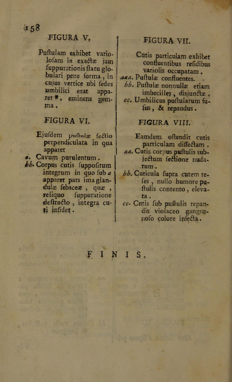 1 »158 FIGURA V. Pullulam exhibet vario- ]ofam in exafls jam fuppurationis flatu glo- bulari pene forma, in cujus vertice ubi fedes umbilici erat appa- ret #. eminens gem- ma . FIGURA VI. Ejufdem puflula* feftio perpendiculata in qua apparet s. Cavum purulentum. bb. Corpus cutis fuppolitum integrum in quo fub a apparet pars ima glan- dulae febacea: , quae , reliquo fuppuratione dellrudlo , integra cu- ti jnfidet. figura VII. Cutis particulam exhibet confluentibus refidibus variolis occupatam . aaa. Pullulae confluentes. bb. Puflulae nonnullae etiam imbecille? , disjun&ae , cc. Umbilicus pullularum fu- fus, & repandus. FIGURA VIII. Eamdem ollendit cutis particulam difleflam . aa. Cutis corpus pullulis sub- jedlum feflione nuda- tum . bb. Cuticula fupra cutem re- fes , nullo humore pu- llulis contento, eleva- ta . cc- Cutis fub pullulis repan- dis violaceo gangras- nofo colore infedla. INIS, F