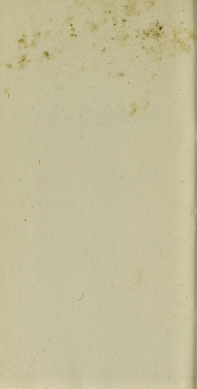 ï i f \ \ i \ • f t I / \ ) I