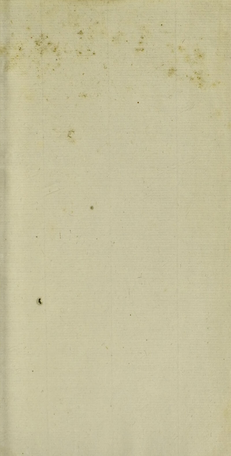 t A- •*r n .4 •Si- :)f} .f* ‘^■. *4 f 4 I j.-. 4 I S' 'Vl .'tl