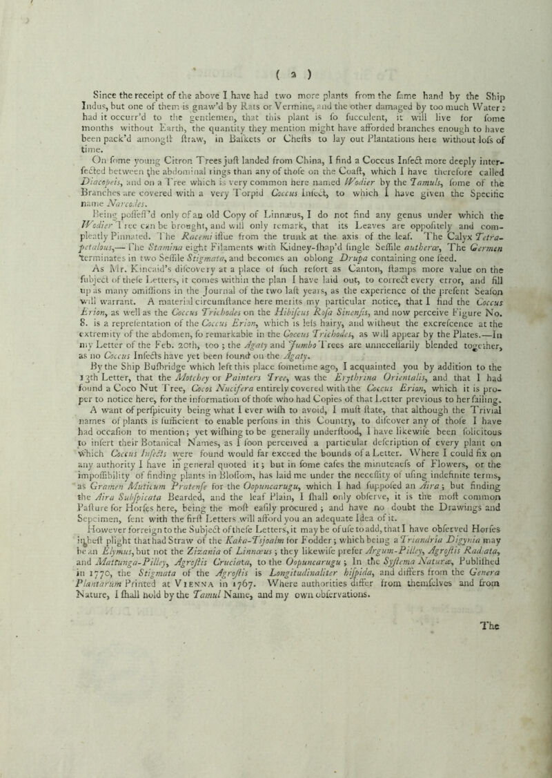 Since the receipt of the above I have had two more plants from the fame hand by the Ship Ind us, but one of them is gnaw’d by Rats or V’ermine, and the other damaged by too much Water :■ had it occurr’d to the gentlemen, that tiiis plant is fo fucculent, it will live for fomc months without Earth, the quantity they mention might have afforded branches enough to have been pack’d amoitgll: flraw, in Bal'kcts or Chefts to lay out Plantations heie without lofs of time. On fome young Citron Trees juft landed from China, I find a Coccus Infedl more deeply inter- fedfed between l;he abdominal tings than any of thofe on the Coaft, which I have therefore called Dlacopeis, and on a Tree which is very common here named IVodier by the ’Tamuh^ fome of the Branches are covered with a very Torpid infect, to which 1 have given the Specific name Narcodes. Being poileff’d only of an old Copy of Linnaeus, I do not find any genus under which the IVliter Tree can be brought, and will only remark, that its Leaves are oppofitely and com- pleatly Pinnated. 'I'he Racemi iflue from the trunk at the axis of the leaf. 'Phe Calyx Tetra- petalous^— The Stamina eight Filaments with Kidney-lhap’d fingle Seftile autherce^ The Qerrnen terminates in two Seffile Stigmata, and becomes an oblong Drupa containing one feed. As Mr. Kincaid’s difeovery at a place of fuch relort as Canton, flamps more value on the fubject of thele Letters, it comes within the plan I have laid out, to corredt every error, and fill lip as many omiffions in the Journal of the two laft years, as the experience of the prefent Seafon will warrant. A material circumftance here merits my particular notice, that! find the Coccus Lrion, as well as the Coccus ‘Trkhodes on the Hibifeus Rofa Sinenjis, and now perceive Figure No. 8. is a reprefentation of the Coccus Erion, which is lefs hairy, and without the excrefcence at the extremity of the abdomen, fo remarkable in the Coccus Trichodes, as will appear by the Plates.—In my Letter of the Feb. 20fh, too ; the Egaty and yumbo'ViQO^ are unnecefl'ariiy blended together, as no Coccus Infedfshave yet been found on the Agaty. By the Ship Bufbridge which left this place fometime ago, I acquainted you by addition to the 13th Letter, that the Motchey or Painters ‘Tree, was the Erythrina Orientalis, and that 1 had found a Coco Nut Tree, Ccroi entirely covered with the Coccus Erion, which it is pro- per to notice here, for the information of thofe who had Copies of that Letter previous to her failing. A want of perfpicuity being what 1 ever wifh to avoid, I muft ftate, that although the Trivial names of plants is futficient to enable perfons in this Country, to difeover any of thofe I have had occafion to mention; yet wifhing to be generally underftood, I have likewile been folicitous to infert their Botanical Names, as I foon perceived a particular defeription of every plant on which Coccus Infects were found would far exceed the bounds of a Letter, Where I could fix on any authority I have in general quoted it; but in fome cafes the minutenefs of f lowers, or the impoffibility of finding plants in Bloflom, has laid me under the neceffity ot iifing indefinite terms, as Grarnen Muticum Pratenje for the Oopuncarugu, which 1 had fuppoled an Aira; but finding the Aira Subfpicata Bearded, and the leaf Plain, I Iliall only obferve, it is the moft common Pafture for Horfes here, being the moft eafily procured ; and have no doubt the Drawings and Sepcimen, fent with the firft Letters will afford you an adequate Idea of it. However forreign to the Subjedl of thefe Letters, it may be of ufe to add, that I have obferved Horfes ii^beft plight thathad Straw of the Kaka-Tsjoalm for f odder; which being a Triandria Digynia may lie an Elymus,hut not the Zizania of Linnaeus ; they likewife prefer Argurn-P lilcy, Agrojiis Radiata, and Mattunga-Pnicy, Agrojiis Cruciata, to the Oopuncarugu ; In the Syjicma Naturae, Publilhed in 1770, the Stigmata of the Agrojiis is Longitudinaliter hijplda, and differs from the Genera Plantarutn ?(\nteA at Vienna in 1767. Where authorities differ from thcmfdves ajid from Nature, I Ihall hold by the Tiswzw/Name, and my own oblervations. The