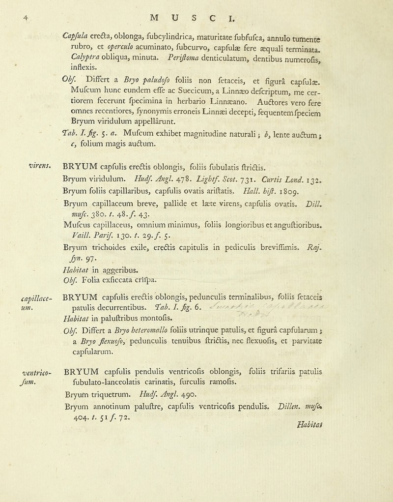 virens. capillace- um. 'uentricQ Jum. Cafjula ereda^ oblonga, fubcylindrica, maturitate fubfufca, annulo tumente rubro, et operculo acuminato, fubcurvo, capfulae fere sequali terminata. Calyptra obliqua, minuta. Perijioma denticulatum, dentibus numerofis, inflexis. Ob/. Differt a Bryo paludojo foliis non fetaceis, et figura capfulse. Mufcum hunc eundem effe ac Suecicum, a Linnaso defcriptum, me cer- tiorem fecerunt fpecimina in herbario Linnseano. Audlores vero fere omnes recentiores, fynonymis erroneis Linntei decepti, fequentemfpeciem Bryum viridulum appellarunt. ^ah. I.Jig. 5. a. Mufcum exhibet magnitudine naturali j lente audtum j Cj folium magis auflum. BRYUM capfulis eredtis oblongis, foliis fubulatis ffridis. Bryum viridulum. Hudf. Angi. 478. Lightf. Scot. 731. Curtis Lond. 132. Bryum foliis capillaribus, capfulis ovatis ariftatis. Hali. hijl. 1809. Bryum capillaceum breve, pallide et Isete virens, capfulis ovatis. Jdill. mujc. 380. t. 48./. 43. Mufcus capillaceus, omnium minimus, foliis longioribus et anguftioribus. Vaill. PariJ. 130. t. i^.f. 5. Bryum trichoides exile, eredtis capitulis in pediculis breviffimis. Raj. Jyn. 97. Habitat in aggeribus. ObJ. Folia exficcata critpa. BRYUM capfulis eredlis oblongis, pedunculis tenuinalibus, foliis fetaceis patulis decurrentibus. ‘Pab. I. fig. 6. - Habitat in paluftribus montofis. ObJ. Differt a Bryo heteromallo foliis utrinque patulis, et figura capfularum % a Bryo jlexuojoy pedunculis tenuibus ftridtis, nec flexuofis, et parvitate capfularum. BRYUM capfulis pendulis ventricofis oblongis, foliis trifariis patulis fubulato-lanceolatis carinatis, furculis ramofis. Bryum triquetrum. HudJ. Angi. 490. Biyum annotinum paluftre, capfulis ventricofis pendulis. Dillen. mufc% 404.51/-72. Habitai