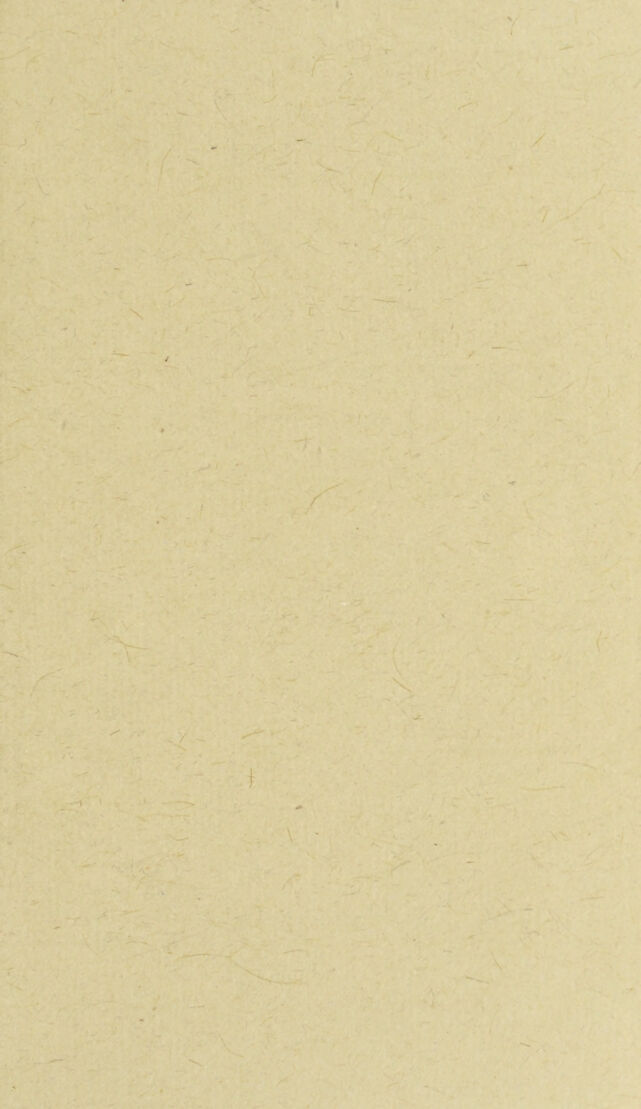 digitised image 3