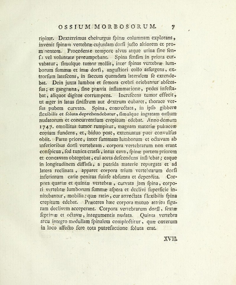 ripitur. Dexterrimus cheirurgus fpinee columnam explorans 9 invenit fpinam vertebra cujusdam dorfl juflo altiorem et pro- ud nentern. Procedenie tempore alvus atque urina fine fen- fj vel voluntate prorumpcbant. Spina fenfim in priora cur- vabatur, fimulque tumor mollis, inter fpinas vertebrae lum- borum fummae et imas dorfi, anguftiori collo asfurgens, ex- trorfum latefcens, in faccum quemdam lateralem fe extende- bat. Dein juxta lumbos et femora crebri oriebanmr abfces- fus; et gangrasna, fine prasvia inflammatione, pedes infefta- bat, aliquot digitos corrumpens. Increfcens tumor effecit* ut asger in latus finifirtnn aut dextrum cubaret, thorace ver- fus pubem curvato. Spina, contredcata, in ipfo gibbere flexibilis et Colata deprehendebatur, fimulque ingratam osfium nudatorum et concurrendum crepitum edebat. Annodemum 1747. emollitus tumor rumpitur, magnam materiae pultacete copiam fundens, et, biduo post, extenuatus puer convulfus obiit. Parte priore, inter fummam lumborum et odlavam ab mferioribus dorfi vertebram, corpora vertebrarum non erant conipicua, fed tunica crasfa , intus cava, fpinas partem priorem et concavam obtegebat, cui aorta defcendens infi iebat; eaque in longitudinem ditfisfa, a putrida materie repurgata et ad latera reclinata , apparet corpora trium vertebrarum dorfi inferiorum carie penitus fuisfe abfumta et deperdita. Cor- pora quartas et quintas vertebra, curvata jam fpina, corpo- ri vertebras lumborum fummas afpera et declivi fuperficie in- nitebantur, mobilia: quae ratio, cur attredhta flexibilis fpina crepitum edebat. Prasterea haec corpora mutuo attritu figu- ram declivem acceperant. Corpora vertebrarum dorfi , fextae feprimas et odfavae, integumentis nudata. Quinta vertebra arcu integro medullam fpinalem compledlitur, quas coeterum in loco affedto fere tota putrefactione foluta erat. xvm