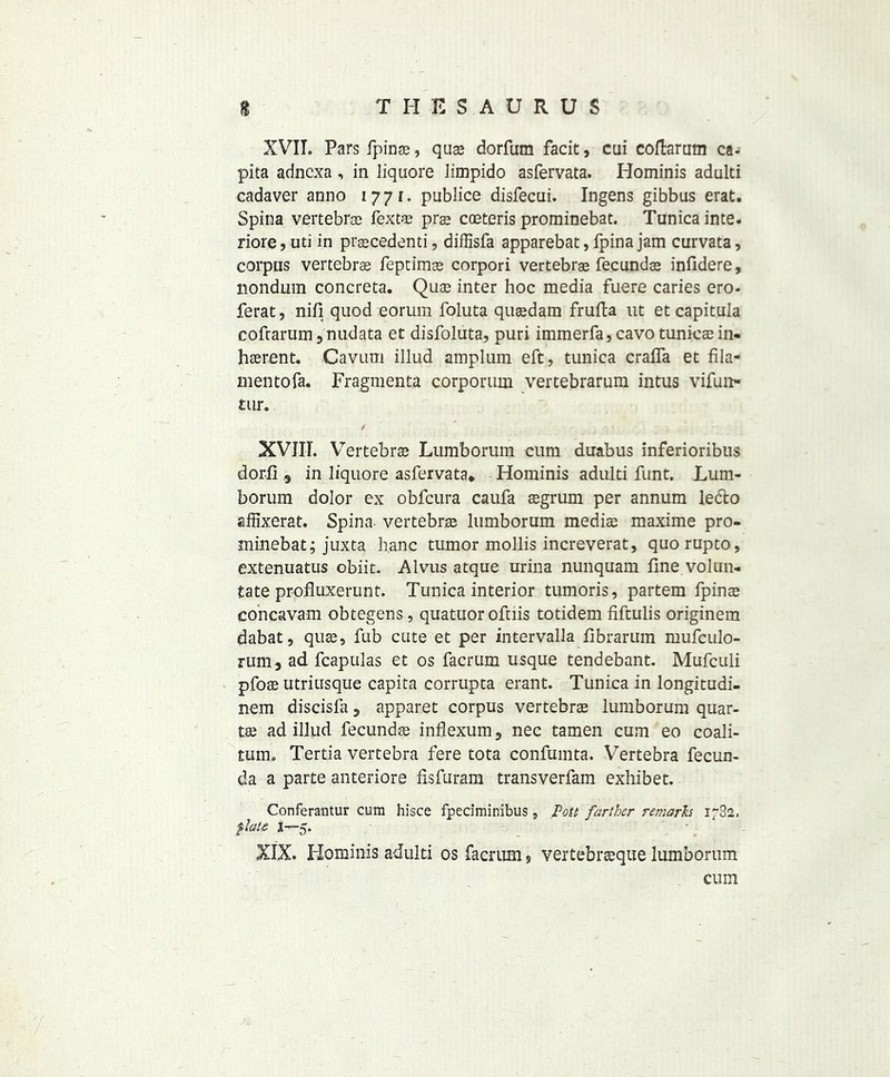 XVII. Pars fpinse, quae dorfum facit, cui coftarum ca- pita adnexa , in liquore Iimpido asfervata. Hominis adulti cadaver anno 1771. publice disfecui. Ingens gibbus erat. Spina vertebras Text® prae coeteris prominebat. Tunica inte. riore, uti in pracedenti, diffisfa apparebat, fpina jam curvata, corpus vertebrae feptimae corpori vertebrae fecundas infidere, nondum concreta. Quae inter hoc media fuere caries ero- ferat, nifi quod eoruin foluta quaedam frufta ut et capitula coftamm ,nudata et disfoluta, puri immerfa, cavo tunieae in* haerent. Cavum illud amplum eft, tunica craffa et fila- mentofa. Fragments corporum vertebrarum intus vifun- tur. 4 XVIII. Vertebrae Lumborum cum duabus inferioribus dor-fi 9 in liquore asfervata* Hominis adulti funt. Lum- borum dolor ex obfeura caufa aegrum per annum ledto affixerat. Spina- vertebra lumborum mediae maxime pro- minebat; juxta h.anc tumor mollis increverat, quorupto, extenuatus obiit. Alvus atque urina nunquam fine volun* iate profluxerunt. Tunica interior tumoris, partem fpinae concavam obtegens, quatuor oftiis totidem fiftulis originem dabat, quae, fub cute et per intervalla fibrarum mufculo- rum5 ad fcapulas et os facrum usque tendebant. Mufculi pfoae utriusque capita corrupta erant. Tunica in longitudi- nem discisfa 5 apparet corpus vertebra lumborum quar- ts ad illud fecundae inflexum 3 nec tamen cum eo coali- tum, Tertia vertebra fere tota confumta. Vertebra fecun- da a parte anteriore fisfuram transverfam exhibet. Conferantur cum hisce fpeciminibus, Pott farther remarks 1732. flute 1—5. XIX. Hominis adulti os facrum ? vertebraque lumborum cum