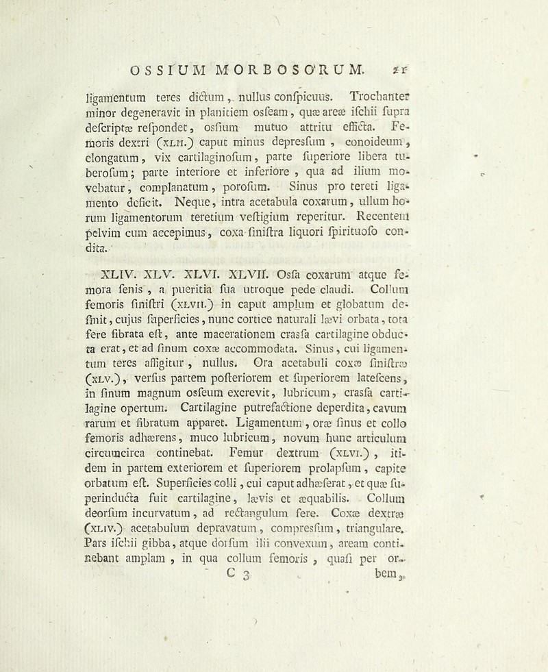 ligamentum teres diclum, nullus confpicuus. Trochanter minor degeneravic in planitiem osfeam, qua) arete ifchii fupra defcriptge refpondet3 osfium mutuo attritu efficta. Fe- moris dextri (xlh.) caput minus depresfum , conoideum, elongatum „ vix cartilaginofum, parte fuperiore libera tu- berofum; parte interiore et inferiore , qua ad ilium mo- vebatur, complanatum , porofum. Sinus pro tereti liga- mento deficit. Neque, intra acetabula coxarum, ullum ho* rum ligamentorum teretium veftigium reperitur. Recentem pelvim cum accepimus , coxa finiftra liquori Ipirituofo con- dita. XLIV. XLV. XLVI. XLVII. Osfa coxarum atque fe- mora fenis , a pueritia fua utroque pede claudi. Collum femoris finiftri (xlvii.) in caput amplum et globatum de- fin it , cujus ftiperficies, nunc cortice naturali lsevi orbata, tota fere fibrata eft, ante macerationem eras fa cartilagine obduc- fa erat, et ad finnm coxae accommodata. Sinus, cui ligamen- tum teres affigitur , nullus. Ora acetabuli coxts finiftra? (xlv.), verfus partem pofteriorem et fuperiorem latefcens, in finum magnum osfeum excrevit, lubricum 3 crasfa cartF- lagine opertum. Cartilagine putrefaction e deperdita, cavutn rarum et fibratum apparet. Ligamentum, orse finus et collo femoris adhserens, muco lubricum, novum hunc articulum circumcirca continebat. Femur dextrum (xlvi.) , iti- dem in partem exteriorem et fuperiorem prolapfum, capite orbatum eft. Superficies colli, cui caput adhaeferat, et qua) fu- perinducla fuit cartilagine, la)vis et sequabilis. Collum deorfum incurvatum, ad redlangulum fere. Coxte dextree Cxliv.) acetabulum depravatum, compresfum, triangulare. Pars ifchii gibba, atque dbrfum ilii convexum, aream conti- nebant amplam , in qua collum femoris , quafi per or- C 3 bem 3e