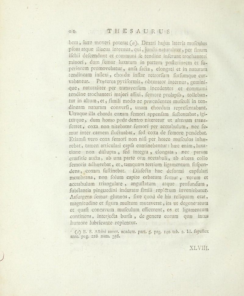 bera, laxe moveri poterat(V). Dextri hujus lateris mufculus pfoas atque iliacus interims, qui, juncii naturahter, per finum ifchii defcendunt et communi fe tcndine infcrunt trochanteri minori, dujn femur luxatuni in partem polteriorcm ct fa- periorem promovebatur, anfa facta, elongati ct in naturani tendineam inflexi, chotdae inftar rctrorfuin furfumque cur- vabancur. Praeterea pyriformis, obturator internus, gcmini- que, naturaliter per transverfam incedentes et communi tendine trochanteri majori aflixi, femore proJapfo, tolleban- tur in altum,et, fimili modo ac prtecedentes mufculi in ten- dineam naturani converfi, unam chordam reprefentabant. Utraque ilia chorda coxam femori appenfam fallentabat, igi- turque, dum homo pcde dcxtro niteretur ut alterum trans- ferret, coxa non nitebatnr femori per acetabulum, nec fe- mur inter carnem flucluabat, fed coxa de femore pendebat. Etiamfi vero coxa femori non nifi per hosce mufculos inhae- rebat, tamen articulari capfa continebantur: haec enim,luxa- tione non difrupta , fed integra , elongata , nec parum crasfitie aucla, ab una parte orte acetahuli, ab altera collo femoris adhasrebat, et,tamquam tertium ligamentum fafpen- dens , coxam faftinebac. Disfedla hac deformi capfalari membrana, non folum capite orbatum femur, verum et acetabulum triangulare , anguflatum atque profundum , fubilantia pinguedini induratte fimili replOtum inveniebatur. Asfurgens femur glutaeos, five quod de his reliquum erat, magnitudine et figura multum mutaverat, ita ut degeneratuui et quafi concavum mufculiun efficerent, os et ligamentum continens, interjedla burfa , de genere eorum quse intus liumore lubricant© replentur. ' (a) B. S. Albini annot. academ. part. 5. pag. 140. tab. a. Id. fupellex aaat. pag. 228 num. 35$.