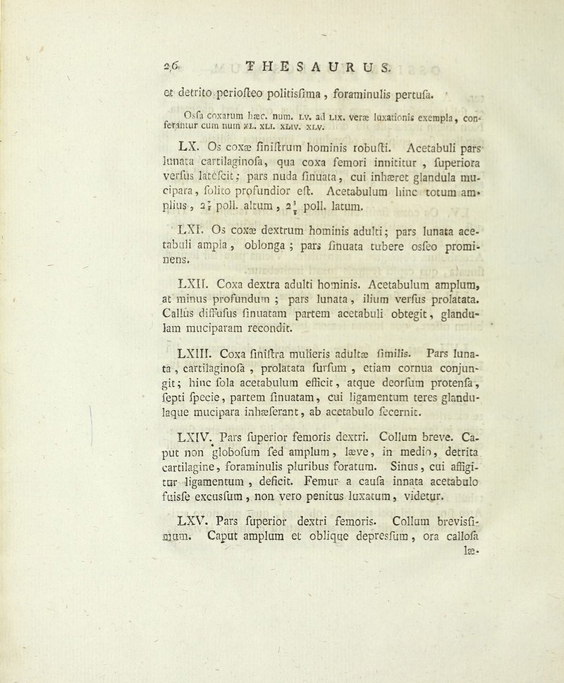 et detritoperiofteo politisftma , foratninulis pertufa. Os fa coxarum liaec. num. lv. ad lix. vers luxationis exerapla, con« ferantur cum uuin xl. xli. xliv. xlv. LX. Os coxte finiftrum hominis robufti. Acetabuli pars lunata cartilaginofa, qua coxa femori innicitur , fuperiora verfus latefcit; pars nuda finuata, cui inhsret glandula mu- cipara, folito profundior eft. Acetabulum bine totum am* plius, 2} poll, altum, 2^ poll, latum. LXI. Os coxa? dextrum hominis adulti; pars lunata ace- tnbuli ampla, oblonga ; pars finuata tubere osfeo promi- nens. LXIL Coxa dextra adulti hominis. Acetabulum amplum, at minus profundum ; pars lunata, ilium verfus prolatata. Callus diffufus finuatam partem acetabuli obtegit, glandu- lam muciparam reeondit. LXIIL Coxa finiftra mulieris adulta; fimilis. Pars luna- ta , cartilaginofa , prolatata furfum , etiam cornua conjun- git; hinc fola acetabulum efficit, atque deorfum protenfa, fepti fpecie, partem finuatam, cui ligamentum teres glandu- laque mucipara inhaeferant, ab acetabulo fecernit. LXIV. Pars fuperior femoris dextri. Collum breve. Ca- put non globofum fed amplum , laeve, in medio, detrita cartilagine, foraminulis pluribus foratum. Sinus, cui affigi- tur ligamentum , deficit. Femur a caufa innata acetabulo fuisfe excusfum, non vero penitus luxatum, videtur. LXVT. Pars fuperior dextri femoris. Collum brevisfi- aittm. Caput amplum et oblique depresfura, ora callofa Is* /