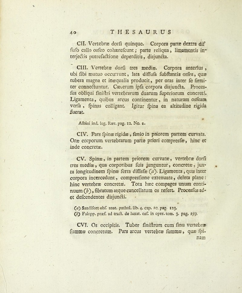 Cfl. Vertebras dorfi quinque. Corpora parte dextra dif fufo callo osfeo cohasrefcunt ,• parte reliqua, limamentis in* terjedcis putrefadbione deperditis, disjundba. CIII. Vertebras dorfi tres mediae. Corpora anterius , ubi fibi mutuo occurrunt, lata difFufa fubftantia osfea, quae tubera magna et inasqualia producit, per oras inter fe firmi- ter connedbuntur. Coeierum ipfa corpora disjundba. Proces- fus obliqui finiftri vertebrarum duarum fuperiorum concrete Ligamenta, quibus arcus continentur, in naturara osfeam verfa , fpinas colligant. Igitur fpina ea altitudine rigida fuerat. # Albini ind. leg. Itav. pag. 12. No. 2. CIV. Pars fpinas rigidas, fenio in priorem partem curvata, Orae corporum vertebrarum parte priori compresfae, hinc et inde concrete. CV. Spinse, in partem priorem curvatae, vertebrae dorfi tres mediae, qua corporibus fuis junguntur, concretae, jux- ta longitudinem fpinas ferra diffisfse Qa). Ligamenta , qute inter corpora incercedunt, compresfione extenuata, deleta plane: hinc vertebras concretas, Tota hasc compages unum conti- nuum (Z>) 9fibratumatquecancellatum os refert. Procesfusad- et defeendentes disjundbi. ([a) Sandifort obf. anat. pathol. lib. 4. cap. io. pag. 123. Q') Falopp. prasf. ad traft. de luxat. osf. in oper. tom. 3. pag. r59. CVI. Os occipitis. Tuber finiftrum cum finu vertebras lummas concretum. Pars arcus vertebra fummas, quas fpi- nam