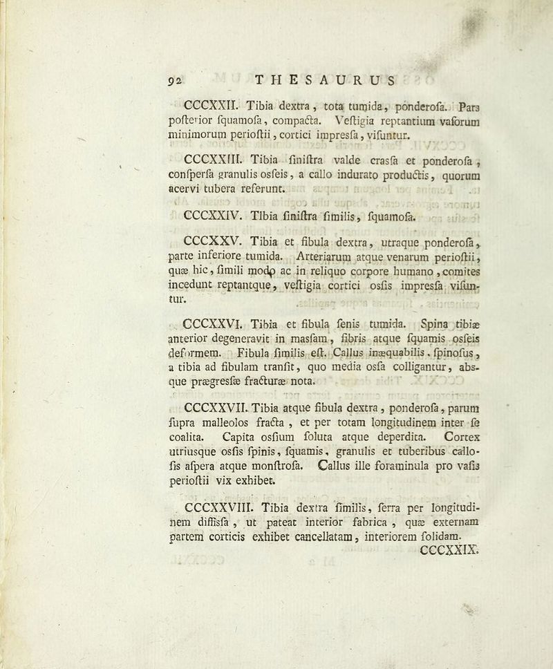 CCCXXII. Tibia dextra, tota tumida, ponderofa. Para poftenor fquamofa, compadta. Vefligia reptantium vaforum miniraorum perioftii, corcici impresfa, vifuntur. CCCXX1II. Tibia fini(Ira valde crasfa et ponderofa , confperfa granulis osfeis, a callo indurato productis, quorum acervi tubera referunt. CCCXXIV. Tibia finiflra fimilis, fquamofa. CCCXXV. Tibia et fibula dextra, utraque ponderofa,. parte inferiore tumida. Arteriarum atque venarum perioftii, qua? hie, fimili modp ac in reliquo corpore bumano ,comites incedunt reptantque, vefligia cortici osfis impresfa vifun- tur. CCCXXVI. Tibia et fibula fenis tumida. Spina tibiae anterior degeneravit in masfam, fibris atque fquamis osfeis deformem. Fibula fimilis eft. Callus inaequabilis , fpinofus, a tibia ad fibulam tranfit, quo media osfa colligantur, abs- que praegresfae fradturas nota. CCCXXVII. Tibia atque fibula dextra , ponderofa, parum fupra malleolos fradta , et per totam longitudinem inter fe coalita. Capita osfium foluta atque deperdita. Cortex utriusque osfis fpinis, fquamis, granulis et tuberibus callo- fis afpera atque monftrofa. Callus file foraminula pro vafis perioftii vix exhibet. CCCXXVIII. Tibia dextra fimilis, Terra per longitudi- nem diffisfa , ut pateat interior fabrica , quee externam partem corticis exhibet cancellatam, interiorem folidam. CCCXXIX.