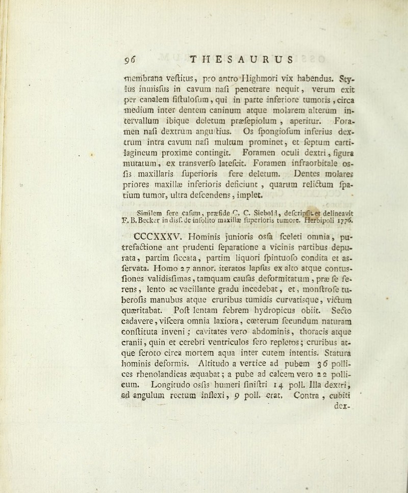 membrana veflitus, pro antro Ilighmori vix habendus. Sty- lus inmisfus in cavum nafi pcnetrare nequit, verum exit per canalem fiftulofura, qui in parte inferiore tumoris, circa medium inter dentem caninum atque molarera alterum in- tervallum ibique dcletum prcefepiolum , aperitur. Fora- men nafi dextrum angu dus. Os fpongiofum inferius dex- trum intra cavum nafi multum prominet, et ieptum carti- lagineum proxime comingit. Foramen oculi dextri, figura mutatum, ex transverfo latefcit. Foramen infraorbitale os- fis maxillaris fuperioris fere deletum. Dentes molares priores maxillae inferioris deficiunt , quarum reli&um fpa- tium tumor, ultra defcendens, implet. Similem fere cafum, prrefide C. C. SieboH, defcripfiuet delineavk F.B.Becker in disf.de infolito maxillae fuperioris tumore. Herbipoli 1776. CCCXXXV. Hominis junioris osfa fceleti omnia, pu- trefa&ione ant prudenti feparatione a vicinis cardbus depu- rata, partim ficcata, partim liquori fpintuofo condita et as- fervata. Homo 27 annor. iteratos lapfus ex alto atque contus- flones validisfimas, tamquam caufas deformitatum , prae fe fe- rens, lento acvacillante gradu incedebat, et, monftrofe tu- berofis manubus atque cruribus tumidis curvadsque, vi&um quceritabat. Poft lentam febrem hydropicu3 obiit. Secco cadavere, vifcera omnia laxiora, coeterum fecundum naturam eonftituta inveni; cavitates vero abdominis, thoracis atque cranii, quin et cerebri ventriculos fero repletos; cruribus at- que fcroto circa mortem aqua inter cutem intends. Statura hominis deformis. Altitudo a vertice ad pubem 3 6 polli- ces rbenolandicas tequabat; a pube ad calcem vero 2 2 polli- eum. Longitudo osfis humeri finiftri 14 poll. Ilia dextri, ad angulum rectum inflexi, 9 poll, crac, Contra , cubid dex-