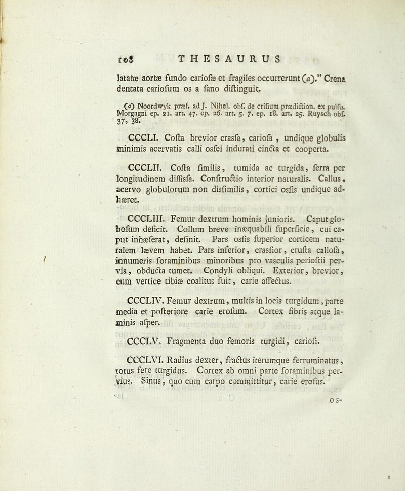 Iatatse aortae fundo cariofae et fragiles occurrerunt (a).” Crena dentata cariofum os a fano diftinguit. (a) Noordwyk prtef. ad J. Nihel. ohf. de crifiura prediction. ex pulfu. Morgagni ep. 21. art. 47. ep. 26. art. 5. 7. ep. 18. art. 25. Ruysch obC. 37* 38. CCCLI. Cofta brevior crasfa, cariofa , undique globulis minimis acervatis calli osfei indurati cintfca et cooperta. CCCLIT. Cofta fimilis, tumida ac turgida, Terra per longitudinem diffisfa. Conftruftio interior naiuralis. Callus, acervo globulorum non disfimilis, cortici osfis undique ad- haeret. CCCLIII. Femur dextrum hominis junioris. Caput glo- bofum deficit. Collum breve inaequabili fuperficie, cui ca- put inhaeferat, definit. Pars osfis fuperior corticem natu- ralem lssvem habet. Pars inferior, crasfior, crufta callofa, itinumeris foraminibus minoribus pro vasculis perioftii per- via, obdu&a tumet. Condyli obliqui. Exterior, brevior, cum vertice tibiae coalitus fuit, carie affe<5tus. CCCLIV. Femur dextrum, multisin locis turgidum,parte media et pofteriore carie erofum. Cortex fibris atque la- minis afper. CCCLV. Fragmenta duo femoris turgidi, cariofi. CCCLVI. Radius dexter, fradtus iterumque ferrurainatus, toms fere turgidus. Cortex ab omni parte foraminibus per- vius. Sinus, quo cum carpo committitur, carie erofus. os-