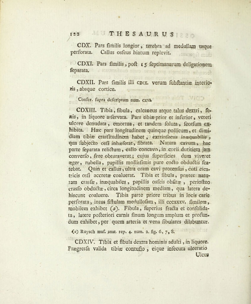 GDX. Pars fimilis longior, terebra ad medullam usque perforata. Callus osfeus biatum replevit. CDXI. Pars fimilis, pod 15 feptiraanarum deligationem feparata. CDXII. Pars fimilis illi cdix. verum fubdantias interio- rs . absque cortice. Confer, fupra dcfcriptum num. cxvt COXIII. Tibia, fibula, calcaneus atque talus dextri, fe« uis, in liquore asfervata. Pars tibiae prior et inferior, veteri ulcere denudata , emortua, et tandem foluta, feorfum ex- hibita. Haec pars longitudinem quinque pollicum, et dimi- diam tibiae crasfitudinem habet, extrinfecus inasquabilis , qua fiibjedlo osfi inhaeferat, fibrata. Natura cavum, hac parte feparata reli&um, callo concavo, in corii duritiem jam converfo, fere obturaverat; cujus fuperlicies dum viveret aeger, rubella, papillis mollisfimis pure co<do obduflis fca- tebat. Quin et callus, ultra oram cavi protenfus, cuti cica- tricis osfi accretae coaluerat. Tibia et fibula, praeter natu- ram crasfie, inaequabiles , papillis osfeis obfitae , periodeo crasfo obdu&as, circa longitudinem mediam, qua latera de« hiscunt coaluere. Tibia parte priore tribus in locis carie perforata, intus fidulam medullofam , illi cccxxxv. fimilem, mobilem exhibet Fibula, fuperius fradla et confolida- ta, latere poderiori carnis finum longum amplum et profun® dum exhibet, per quem arteria et vena fibulares dilabuntur. CO Ruysch muf. anat. rep. 4. num. 2. fig. 6, 7, 8. CDXIV. Tibia et fibula dextra hominis adulti, in liquore, Fraegresfa valida tibiae contufio , eique infecuta ulceratio Ulcug