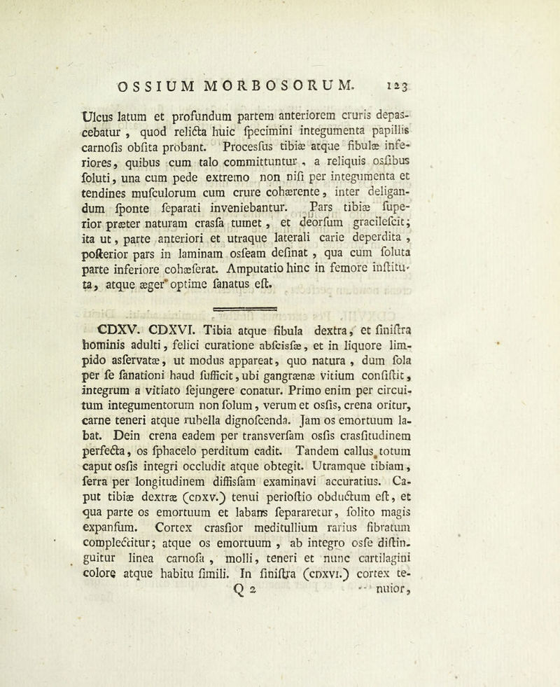 Ulcus latum et profundum partem anteriorem cruris depas- cebatur , quod reli&a huic fpecimini integumenta papillis carnofis obfita probant. Procesfus tibiae atque fibulas infe- riors, quibus cum talo committuntur , a reliquis osJfibus foluti, una cum pede extremo non nifi per integumenta et tendines mufculorum cum crure cohasrente, inter deligan- dum fponte feparati inveniebantur. Pars tibiae fupe- rior prsster naturam crasfa tuinet, et deorfum gracilelcit; ita ut, parte anteriori et utraque laterali carie deperdita , pofterior pars in laminam osfeam definat , qua cum foluta parte inferiore cohasferat. Amputatio hinc in femore inftitU' £a, atque seger° optime fanatus eft. CDXV. CDXVI. Tibia atque fibula dextra, et finiftra hominis adulti, felici curatione abfcisfss, et in liquore lim- pido asfervatas, ut modus appareat, quo natura , dum fola per fe fanationi haud fufficit,ubi gangrasnte vitium confiftit, integrum a vitiato fejungere conatur. Primo enim per circui- tum integumentorum non folum, verum et osfis, crena oritur, carne teneri atque rubella dignofeenda. Jam os emortuum la- bat. Dein crena eadem per transverfam osfis crasfitudinem perfe&a, os fpbacelo perditum cadit. Tandem callusototuin caput osfis integri occludit atque obtegit. Utramque tibiam, ferra per longitudinem diffisfam examinavi accuratius. Ca- put tibiae dextras (cdxv.) tenui perioftio obdudtum eft, et qua parte os emortuum et labarrs fepararetur, folito magis expanfiim. Cortex crasfior meditullium rarius fibratum compleccitur; atque os emortuum , ab integro osfe diftin. guitur linea carnofa , molli, teneri et nunc cartilagini colore atque habitu fimili. In finiftra (cnxvi.) cortex te- Q 2 '-: nuior,