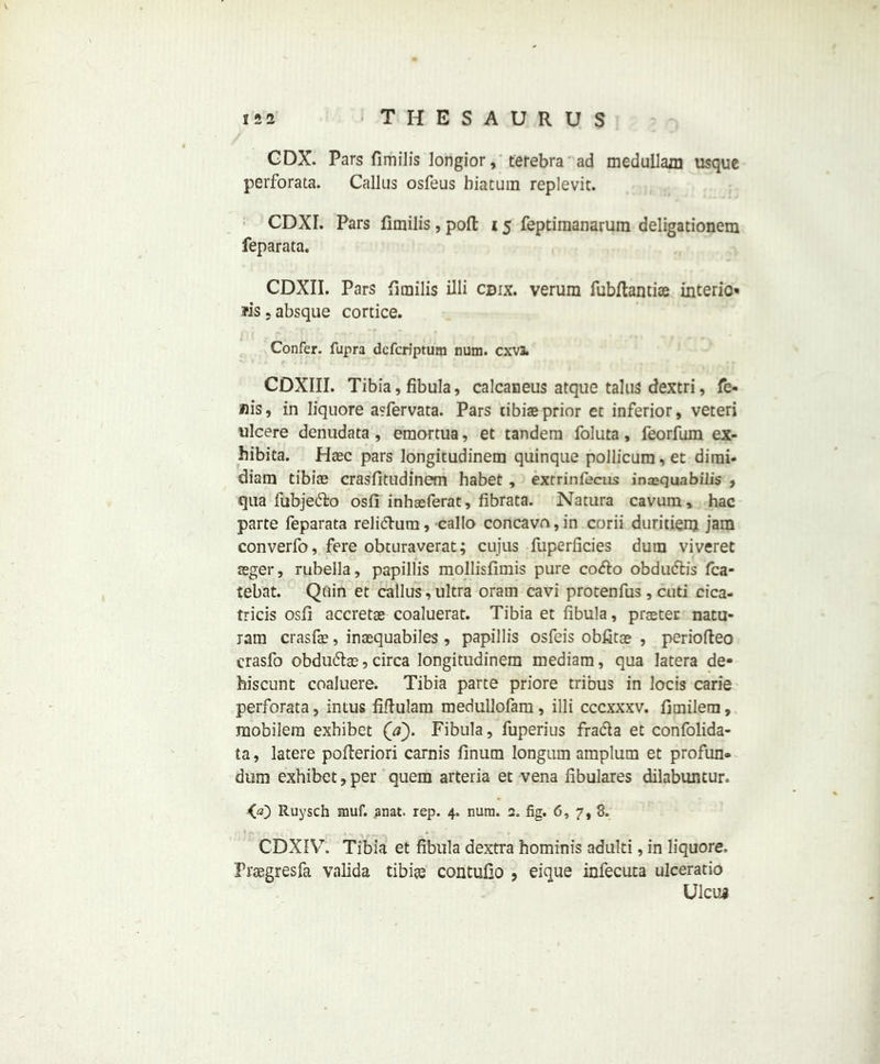 GDX. Pars fimilis longior, terebra ad medullam usque perforata. Callus osfeus biatuin replevit. CDXI. Pars fimilis, poft 15 feptiraanarum deligationem feparata. CDXII. Pars fimilis illi cdix. verum fubftantiae interio fis. absque cortice. Confer, flipra dcfcriptum num. cxvi CDXIII. Tibia, fibula, calcaneus atque talus dextri, fe- »is, in Iiquore asfervata. Pars tibiae prior et inferior, veteri ulcere denudata, emortua, et tandem foluta, feorfum ex- hibita. Haec pars longitudinem quinque pollicum, et dimi- diam tibiae crasfitudinem habet, extrinfecus insquabilis , qua fubje&o osfi inhaeferat, fibrata. Natura cavum, hac parte feparata reli<5him, callo concavo, in corii duriciem jam converfo, fere obturaverat; cujus fuperficies dum viveret teger, rubella, papillis mollisfimis pure co<fio obduflis fca- tebat. Quin et callus, ultra oram cavi protenfus, cuti cica- tricis osfi accretae coaluerat. Tibia et fibula, praeter natu- jam crasfae, insequabiles , papillis osfeis obfitae , periofteo erasfo obdu&ae, circa longitudinem mediam, qua Iatera de- hiscunt coaluere. Tibia parte priore tribus in locis carie perforata, intus fiftulam medullofam , illi cccxxxv. fimilem, mobilem exbibet Qa). Fibula, fuperius fradla et confolida- ta, latere pofteriori carnis finum longum amplum et profun® dum exhibet, per quem arteria et vena fibulares dilabuntur. (a) Ruysch muf. anat. rep. 4. nura. 2. fig, 6, 7, 8. CDXIV. Tibia et fibula dextra hominis adulti, in Iiquore, Fraegresfa valida tibiae contufio 9 eique infecuta ulceratio Ulcua