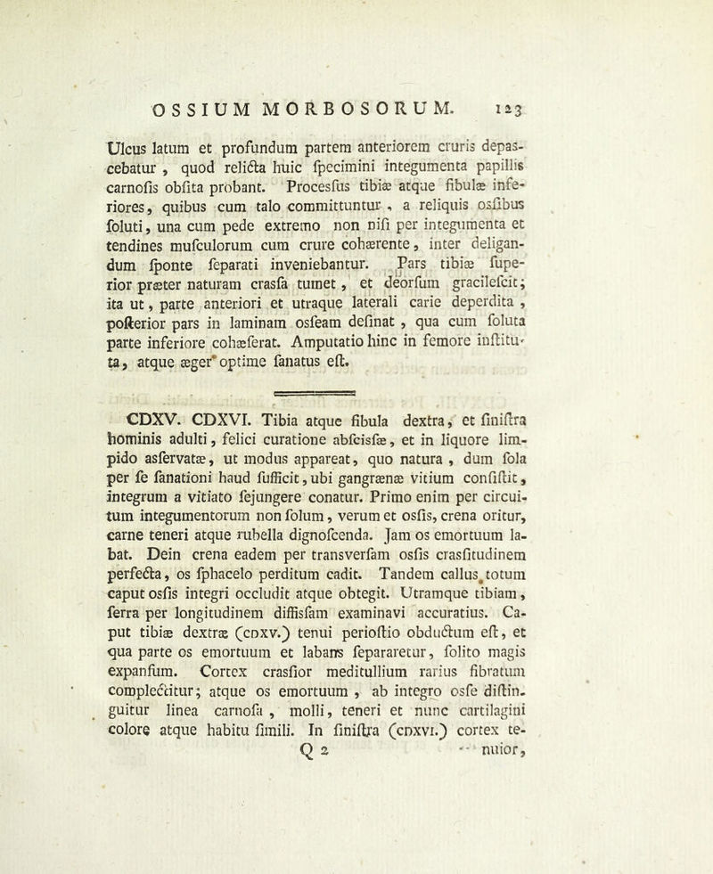 Ulcus latum et profundum partem anteriorem cruris depas- cebatur , quod reli&a huic fpecimini integumenta papillis carnofis obfita probant. Procesfus tibiae atque fibulas infe- riores, quibus cum talo committuntur , a reliquis osfibus foluti, una cum pede extremo non nifi per integumenta et tendines mufculorum cum crure cobaerente, inter deligan- dum Iponte feparati inveniebantur. Pars tibiae fupe- rior praster naturam crasfa tuinet, et deorfum gracilefcit; ita ut, parte anteriori et utraque laterali carie deperdita , pofterior pars in laminam osfeam definat , qua cum foluta parte inferiore cohaeferat. Amputatio bine in femore inftitu*- ta, atque aeger optime fanatus eft. CDXV. CDXVI. Tibia atque fibula dextra, et finiftra hominis adulti, felici curatione abfeisfie, et in liquore lim- pido asfervatae, ut modus appareat, quo natura , dum Tola per fe fanationi haud fufficit, ubi gangrasnae vitium confiftit, integrum a vitiato fejungere conatur. Primo enim per circui- tum integumentorum non folum, verum et osfis, crena oritur, carne teneri atque rubella dignofeenda. Jam os emortuum la- bat. Dein crena eadem per transverfam osfis crasfitudinem perfedh, os fphacelo perditum cadit. Tandem ca]lusototuni caput osfis integri occludit atque obtegit. Utramque tibiam, ferra per longitudinem diffisfam examinavi accuratius. Ca- put tibiae dextras (cnxv.) tenui perioftio obdu&um eft, et qua parte os emortuum et labarrs fepararetur, folito magis expanflim. Cortex crasfior meditullium rarius fibvatum compleccitur; atque os emortuum , ab integro osfe diftin- guitur linea carnofa , molli, teneri et nunc cart'ilagini colore atque habitu fimili. In finiftra (cnxvi.) cortex te- Q 2 -“:nuior,