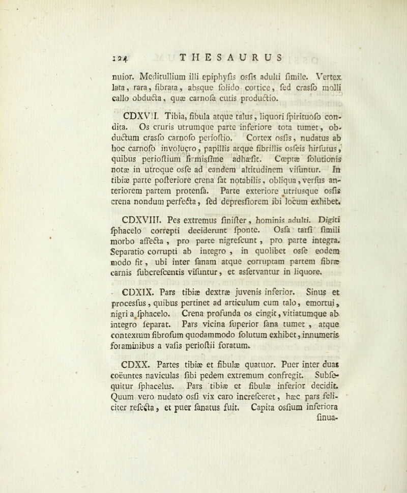 nuior. Meditullium illi epiphyfis osfis adulti fimile. Vertex lata, rara, fibrata, absque folido cortice, fed crasfo molli callo obdudta, quag carnofa cutis productio. CDXVT, Tibia, fibula atque talus, liquorifpirituofo con- dita. Os cruris utrumque parte inferiore tota turner, ob- ductum crasfo carnofo perioflio. Cortex osfis, nudatus ab hoc carnofo involucro, papillis atque fibrillis osfeis hirfutus, quibns perioflium firmisfime adhaeflt. Coeptae folutionis notae in utroque osfe ad eandem altitudinem vifuntur. In tibite parte pofleriore crena fat notabilis, obliqua, verfus an- teriorem partem protenfa. Parte exteriore utriusque osfis crena nondum perfedla, fed depresfiorem ibi locum exhibet. CDXVIIT. Pes extremus finifter, hominis adulti. Digiti fphacelo correpti deciderunt fponte. Osfa tarfi fimili morbo affe&a , pro parte nigrefcunt , pro parte integra. Separatio corrupti ab integro , in quolibet osfe eodem modo fit, ubi inter fanam atque corruptam partem fibrse carnis fubcrefcentis vifuntur, ec asfervantur in liquore. CDXIX. Pars tibice dextrae juvenis inferior. Sinus et procesfus, quibus pertinet ad articulum cum talo, emortui, nigii ajphacelo. Crena profunda os cingit, vitiatumque ab integro feparat. Pars vicina fuperior fana tumet , atque contextum fibrofum quodammodo folutum exhibet, innumeris foiaminibus a vafis perioflii foratum. CDXX. Partes tibiae et fibulae quatuor. Puer inter duas coeuntes naviculas fibi pedem extremum confregit. Subfo- quitur fphacelus. Pars tibiae et fibulae inferior decidit. Quum vero nudato osfi vix caro increfceret, haec pars feli- citcr refe&a , et puer fanatua fuit, Capita osfium inferiora finua-