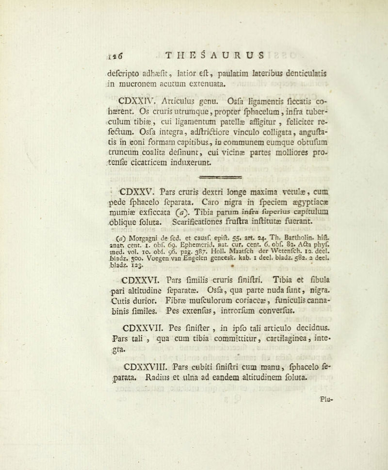 defcripto adhasfit, Iatior eft, paulatim lateribus denticulatis in mucronem acutum extenuata. CDXXIV. Ardculus genu. Osfa ligamentis ficcatis co- ll asrent. Os cruris utrumque, propter fphacelum, infra tuber- culum tibiae, cui ligamentum patellae affigitur , feliciter re- fefhira. Osfa integra, adftri&iore vinculo colligata, angufta- tis in eoni formam capitibus., in communem eumque obtufum truncum coalita definunt, cui vicinae partes molliores pro- tenfe cicatricem induxerunt. CDXXV. Pars cruris dextri longe maxima vetulae, cum pede fphacelo feparata. Caro nigra in fpeciem aegyptiacae murnias exficcata (a). Tibia parum infra fuperms capitulum oblique foluta. Scaridcaticnes fruftra inftitutae fuerant. (\a) Morgagni de fed. et causf. epift. 55* art. 04. Th. Bartholin, hid. anat% cent. 1. obf. 69. Ephemerid. Hat. cur. cent. 6. obf. 82. A&a phyf. med. vol. 10. obf. 96. pag. 387. Holl. Maatfch der Wetenfch. 13. dee!, .bladz. 300. Voegen van Engelen geneesk. kab. 1 deel. bladz. 582. 2 dcel. bladz. 123. • CDXXVI. Pars fimilis cruris finiftri. Tibia et fibula pari altitudine feparatse. Osfa, qua parte nudafunt, nigra. Cutis durior. Fibrte mufculorum coriacege, funiculis canna- binis flmiles. Pes extenfus, introrfum converfus. CDXXVII. Pes finifter , in ipfo tali articulo decidaus. Pars tali , qua cum tibia committitur, cartilagin-ea, inte- gra. CDXXVIII. Pars cubiti finiftri cum manu, fphacelo fe- parata. Radius et ulna ad eandem altitudinem foluta. Plu-