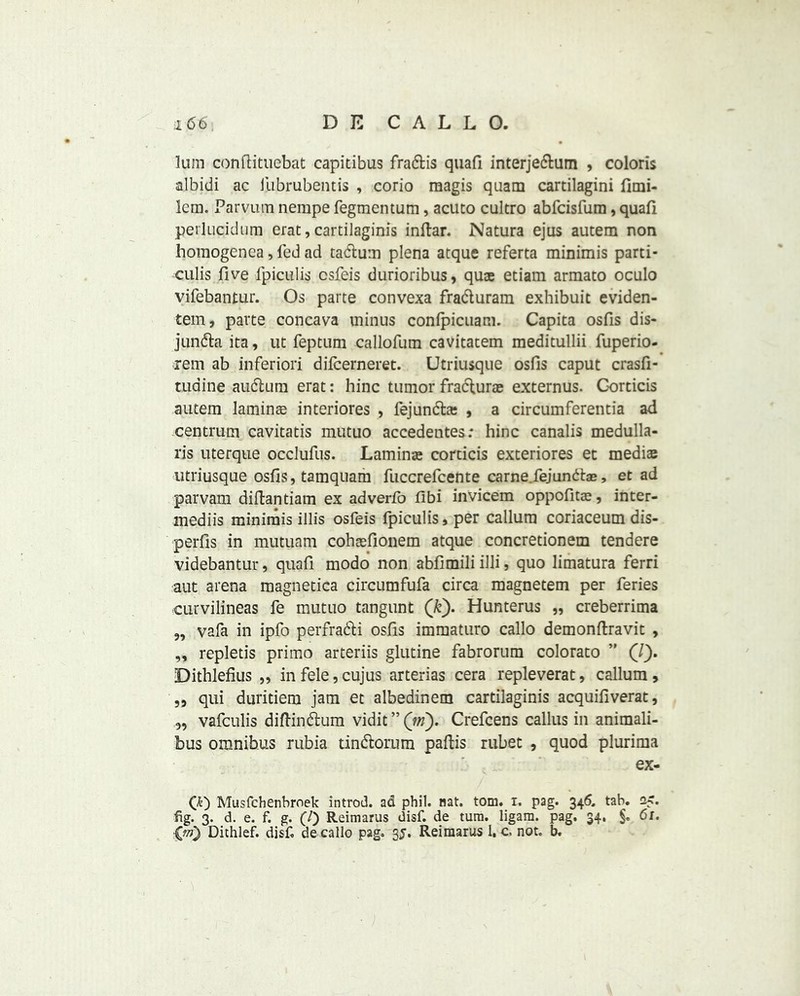 ;i66 DE CALLO. lum conftituebat capitibus fra&is quafi interjedlum , colons albidi ac lubrubentis , corio raagis quam cartilagini fimi- lem. Parvum nempe fegmentum, acuto cultro abfcisfura, quafi perlucidum erat,cartilaginis infiar. Natura ejus autem non homogenea, fed ad tadtum plena atque referta minimis parti* culis five fpiculis csfeis durioribus, quae etiam armato oculo vifebantur. Os parte convexa fradturam exbibuit eviden- tem, parte concava minus conipicuam. Capita osfis dis- jundta ita, ut feptum callofum cavitatem meditullii fuperio- rem ab inferiori difcerneret. Utriusque osfis caput crasfi- tuaine audtum erat: hinc tumor fradturae externus. Gorticis autem laminae interiores , lejundta; , a circumferentia ad centrum cavitatis mutuo accedentes: hinc canalis medulla- ris uterque occlufus. Laminae corticis exteriores et mediae utriusque osfis, tamquam fuccrefcente carne.fejundbs, et ad parvam diftantiam ex adverfo fibi invicem oppofitae, inter- inediis minimis illis osfeis fpiculis, per callura coriaceum dis- perfis in mutuam cohaefionem atque concretionem tendere videbantur, quafi modo non abfimili illi, quo limatura ferri aut arena magnetica circumfufa circa magnetem per feries curvilineas fe mutuo tangunt (k). Hunterus „ creberrima „ vafa in ipfo perfra&i osfis immaturo callo demonftravit , „ repletis primo arteriis glutine fabrorum colorato ” (/). Dithlefius „ infele,cujus arterias cera repleverat, callum, ,, qui duritiem jam et albedinem cartilaginis acquifiverat, „ vafculis diftindtum vidit ” (in). Crefcens callus in animali- bus omnibus rubia tindtorum paflis rubet , quod plurima ex- Qt) Musfchenbroek introd. ad phil. nat. tom. i. pag. 346. tab. 25. fig. 3. d. e. f. g. (/) Reimarus disk de turn, ligara. pag. 34, §. 61.