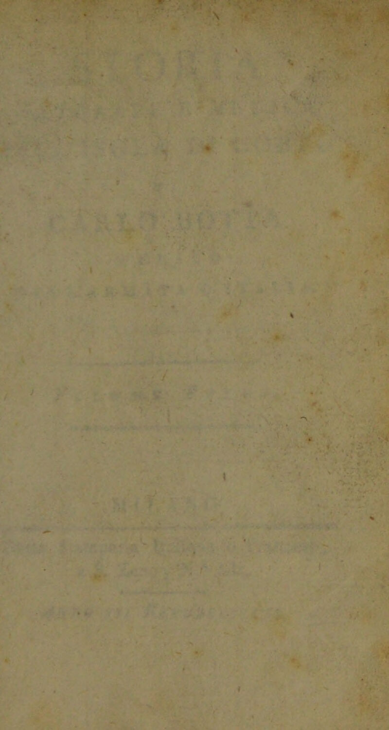 -,'7 1 •- -i’ r ' ! ■ ■'■ .i- : -i-'-im n , '• ir U*k ' ' » r-- • VI/-- >J? •ìA,.,, M* • .Y ■< ■•'■' Vv •: <>.■*<■> /