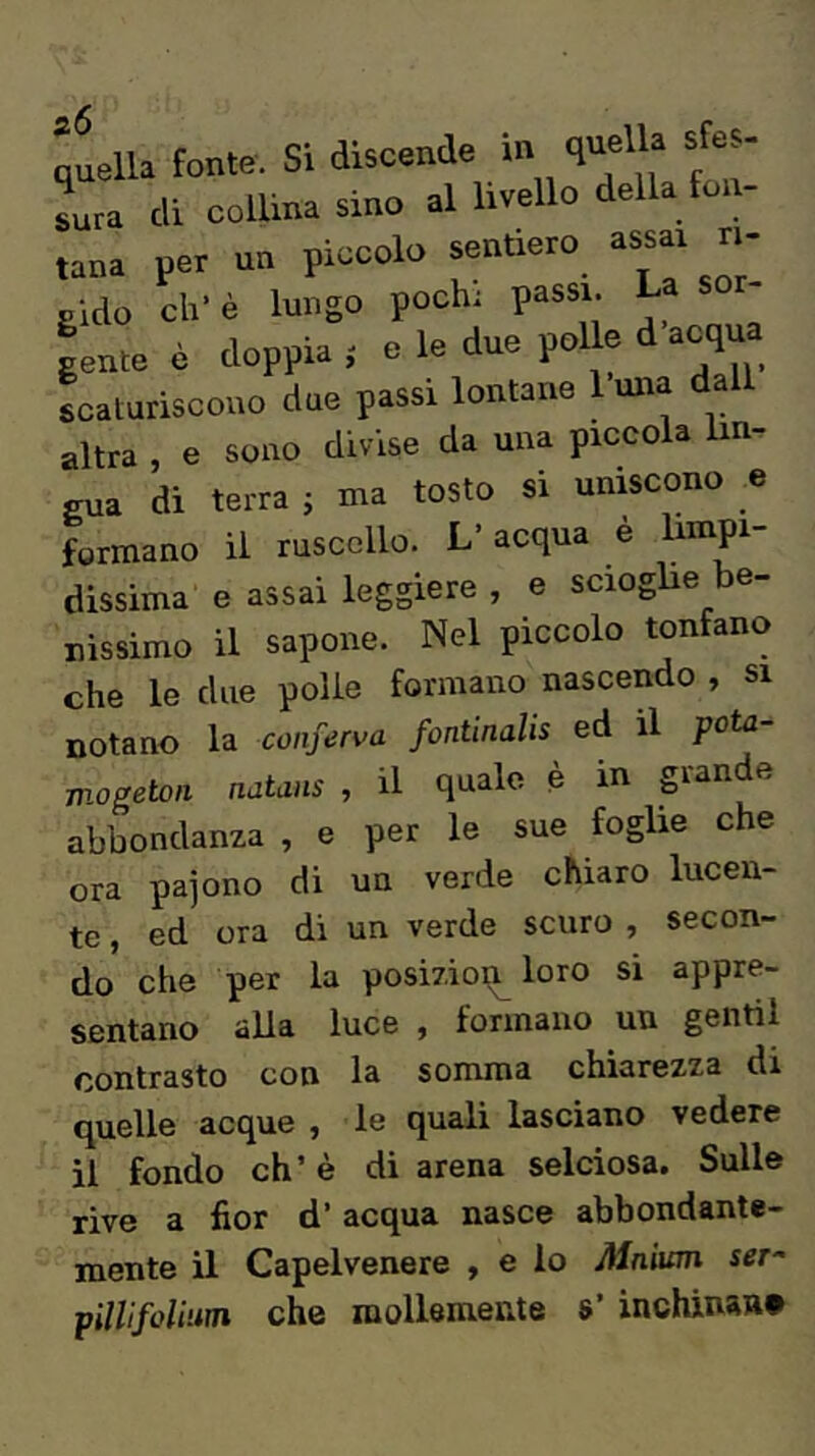 quella fonte. Si discende Lra di collina sino al livello della fon- tana per un piccolo sentiero assai ri- gido ch-è lungo pochi passi La sor- gente è doppia } e le due polle acqu scaturiscono due passi lontane 1 una dall altra , e sono divise da una piccola lin- gua di terra j ma tosto si uniscono e formano il ruscello. L’acqua è limpi- dissima e assai leggiere , e scioghe be- nissimo il sapone. Nel piccolo tonfano che le due polle formano nascendo , si notano la conferva fontinalis ed il pota- mogeton natans , il quale è in grande abbondanza , e per le sue foghe che ora paiono di un verde chiaro lucen- te , ed ora di un verde scuro , secon- do che per la posizioi^ loro si appre- sentano alla luce , formano un gentil contrasto con la somma chiarezza di quelle acque , le quali lasciano vedere il fondo eh’ è di arena selciosa. Sulle rive a fior d’acqua nasce abbondante- mente il Capelvenere , e lo Alnium ser^ piWfolium che mollemente s’ inchinan»