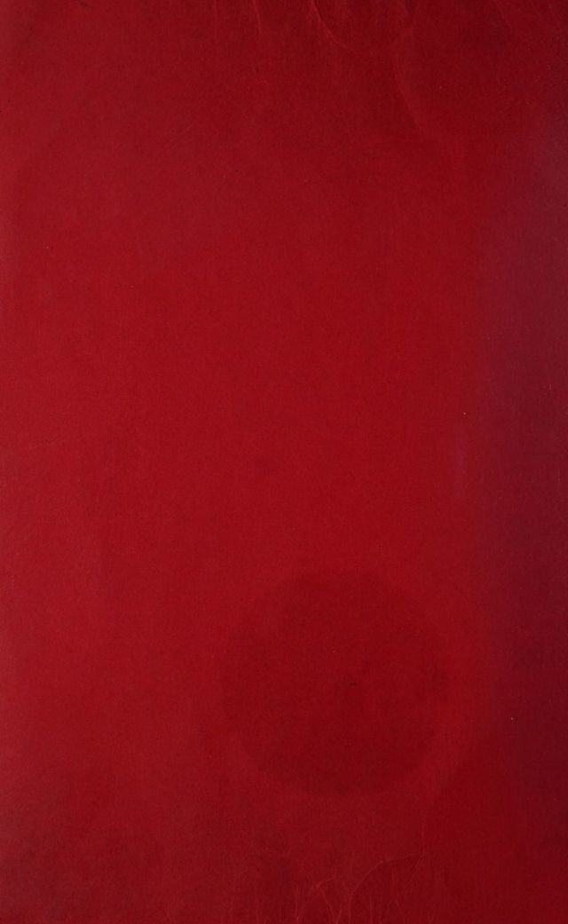digitised image 2