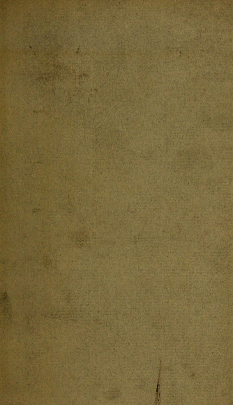 \ ,1^ '■'K '•' ■ V,v V-V.'*'. - . -V* -“.r': . r / ‘ < - l,