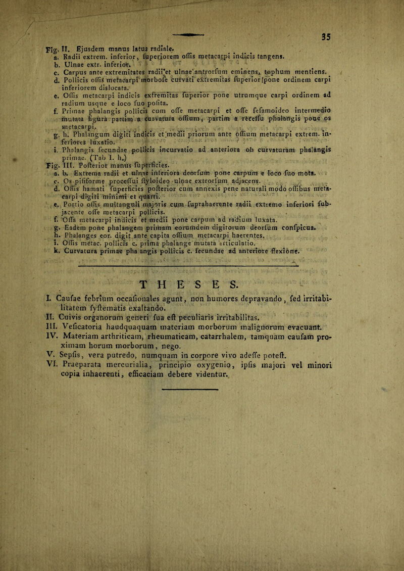 plg. II. Ejusdem manus latus radiale. a. Radii extrem. inferior, fuperiorem offis metacarpi indicis tangens. b. Ulnae extr. inferior. c. Carpus ante extremitates radiPet ulnaeiantrorfum eminens, tophum mentiens. d. Pollicis offis metacarpi morbofe curvati extremitas fuperiorfpone ordinem carpi inferiorem dislocata. e. Offis metacarpi indicis extremitas fuperior pone utrumque carpi ordinem ad radium usque e loco fuo polita. f. Primae phalangis pollicis cum offie metacarpi et ode fefamoideo intermedio mutata figura partim a curvatura odium, partim a rtcdfu phalangis pone os metacarpi. g. h. Phalangum digiti indicis et'medii priorum ante odium metacarpi extrem. in- feriores luxatio. i. Phalangis fecundae pollicis incurvatio ad anteriora ob curvaturam phalangis primae. (Tab I. h.) Fig. III. Pofterior manus fuperficies. a. b. Extrema radii et ulnae inferiora deorfum pone carpum e loco fuo mota. c. Os pififorme procefiui dyloideo ulpae extrorlum adjacens. d. Offis hamati fuperficies pofterior cum annexis pene naturali modo offibus meta- carpi digiti minimi et quarti. e. Portio odis multanguli majoris cum fuprahaerente radii extremo inferiori fub- jacente ode metacarpi pollicis. f. Offa metacarpi indicis et medii pone carpum ad radium luxata. g. Eadem pone phalangem primam eorumdein digitorum deorfum confpicua. h. Phalanges eor. digit ante capita offium. metacarpi haerentes. i. Odis metae, pollicis c. prima phalange mutata articulatio. k. Curtatura primae phalangis pollicis c. fecundae ad anteriore flexione. THESES. I. Caufae febrium occafionales agunt, non humores depravando, fed irritabi- litatem fyflematis exaltando. II. Cuivis organorum generi fua eft peculiaris irritabilitas. III. Veficatoria haudquaquam materiam morborum malignorum evacuant. IV. Materiam arthriticam, rheumaticam, catarrhalem, tamquam caufam pro- ximam horum morborum, nego. V. Sepiis, vera putredo, numquam in corpore vivo adeffe poteft. VI. Praeparata mercurialia, principio oxygenio, ipfis majori vel minori copia inhaerenti, efficaciam debere videntur.