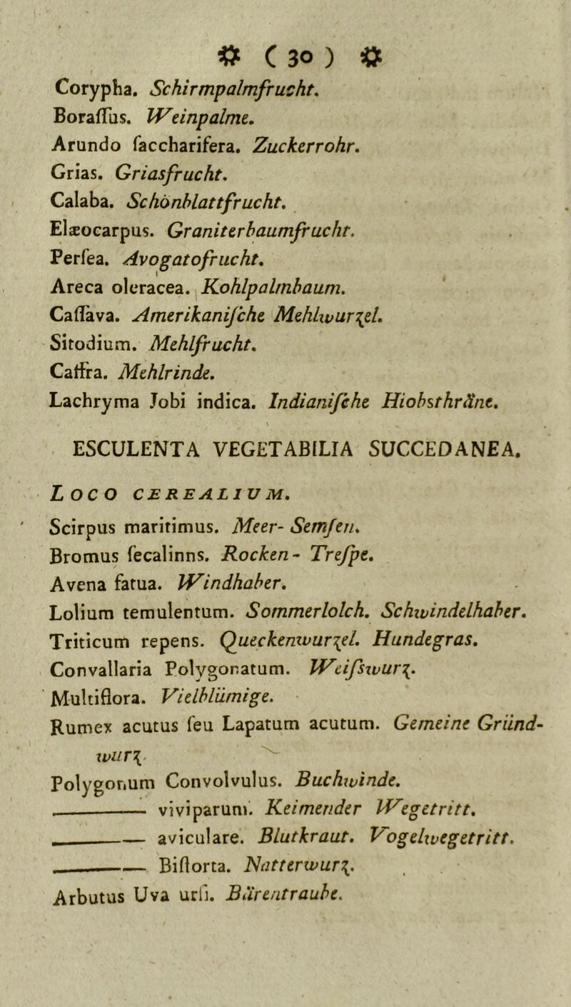 Corypha. Schirmpalmfrucht. BorafTus. Weinpalme. Arundo faccharifera. Zuckerrohr. Grias. Griasfrucht. Calaba. Schonhlattfrucht. Elxocarpus. Granittrhaumfrucht. Perfea. Avogatofrucht. Areca o\aTzcez.^Kohlpalmhaum. Caflava. Amerikanijcht MthLxvur\zl. Sitodium. Mehlfrucht, Catfra. MMrinde. Lachryma Jobi indica. Indianijeht Hiohsthrdne. ESCULENTA VEGETABfLIA SUCCEDANEA. Loco CEREALIUM. Scirpus maritimus. Meer- Semfen, Bromus fecalinns. Rocken- Trejpe. Avena fatua. IVindhaher, Lolium temulentum. Sommerlolch. Schivindelhaher. Triticum repens. Queckemvur\el. Hundcgras. Convallaria Polygonatum. Wdfsxvur^. Multiflora. Vidhlilrnige. Rumex acutus feu Lapatum acutum. Gemeine Griind- xviiri Polygonum Convolvulus. Buchxvinde. viviparum. Keimender IVegetritt, _____— aviculare. Blutkraut. J^ogdxvegetritt. Biflorta. NxJtterwuri. Arbutus Uva urii. Burcntrauhe.